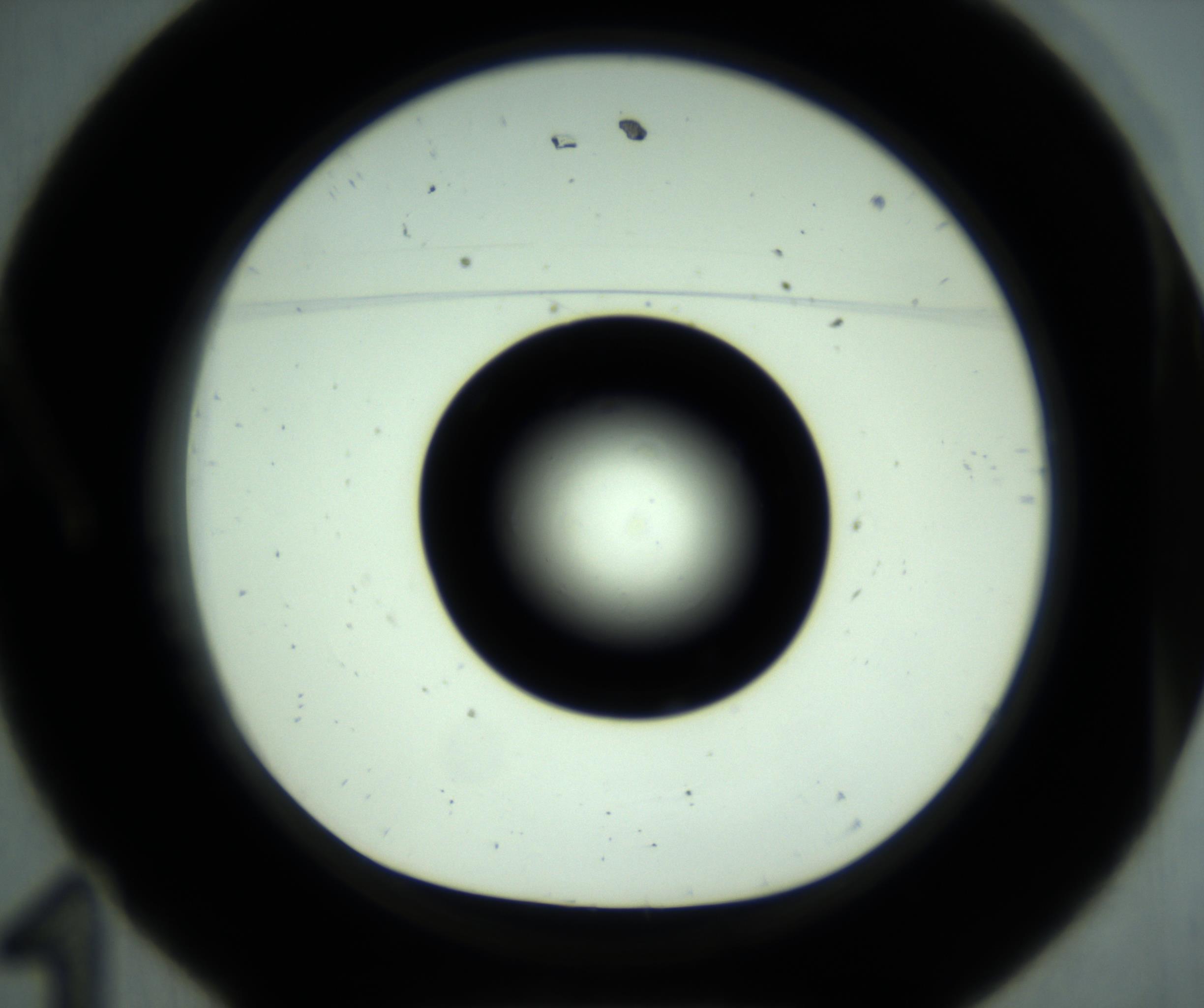 RI01_03_000_0212_Proj1_Clon1_MC_0000MC102881_001_161021_11_01_01_00_98_002_001_RAI.jpg