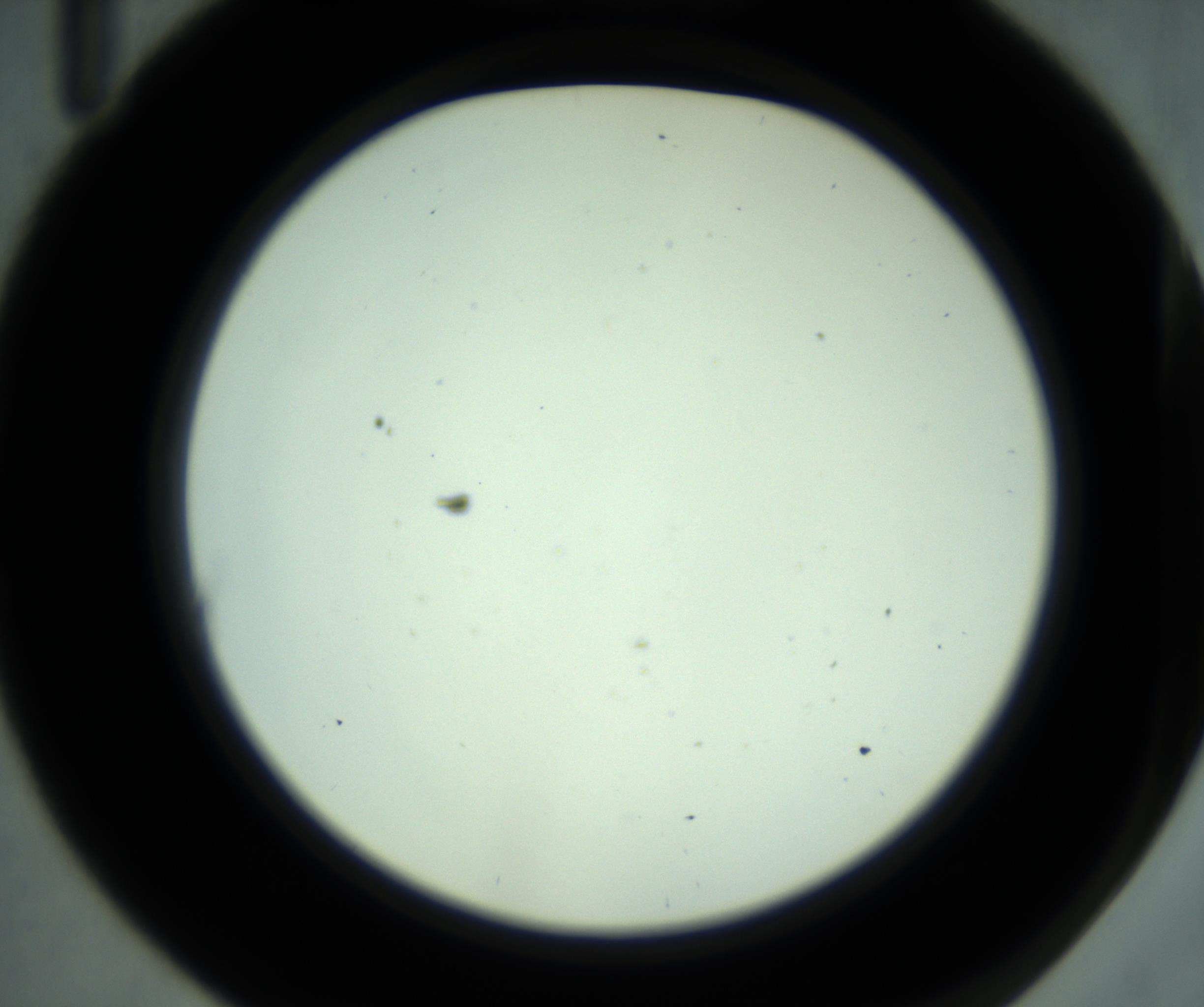 RI01_03_000_0212_Proj1_Clon1_MC_0000MC102881_001_161021_11_01_02_00_98_002_001_RAI.jpg