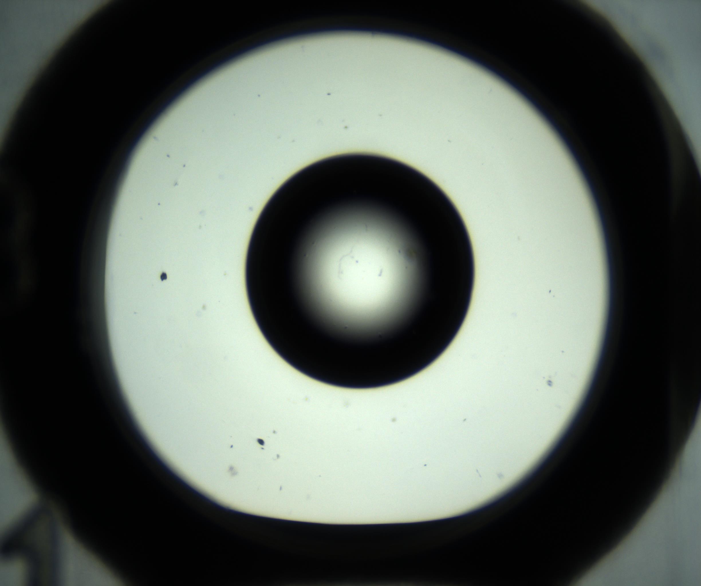 RI01_03_000_0212_Proj1_Clon1_MC_0000MC102881_001_161021_11_02_01_00_98_002_001_RAI.jpg