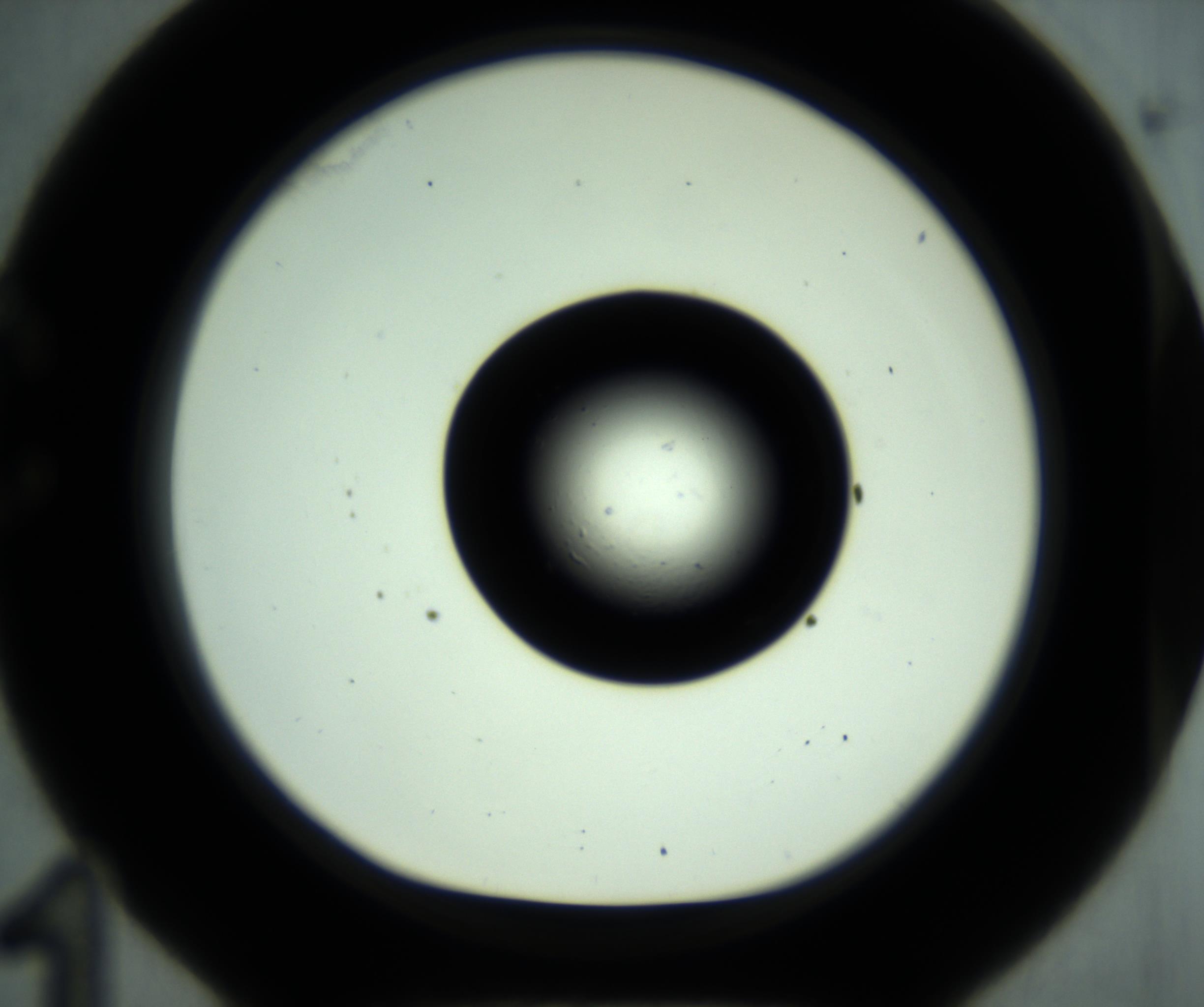 RI01_03_000_0212_Proj1_Clon1_MC_0000MC102881_001_161021_11_03_01_00_98_002_001_RAI.jpg