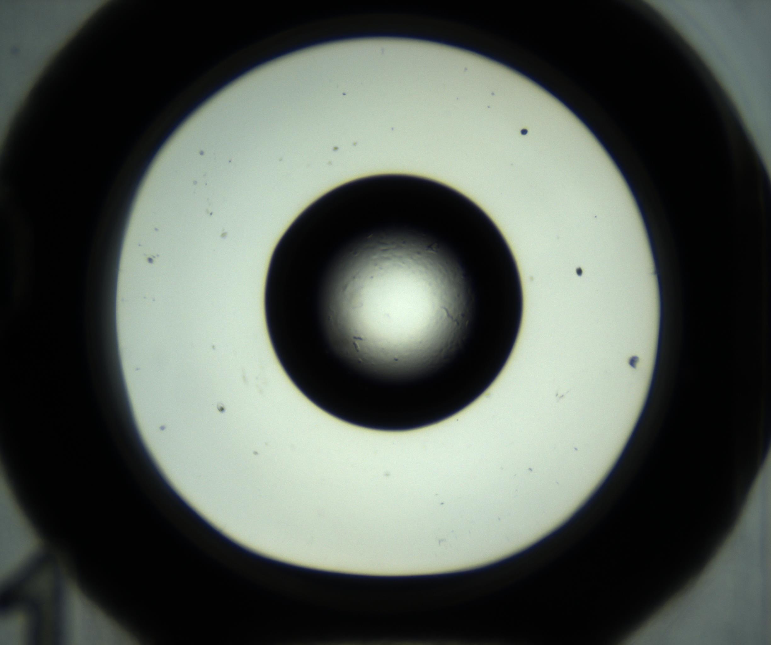 RI01_03_000_0212_Proj1_Clon1_MC_0000MC102881_001_161021_11_04_01_00_98_002_001_RAI.jpg