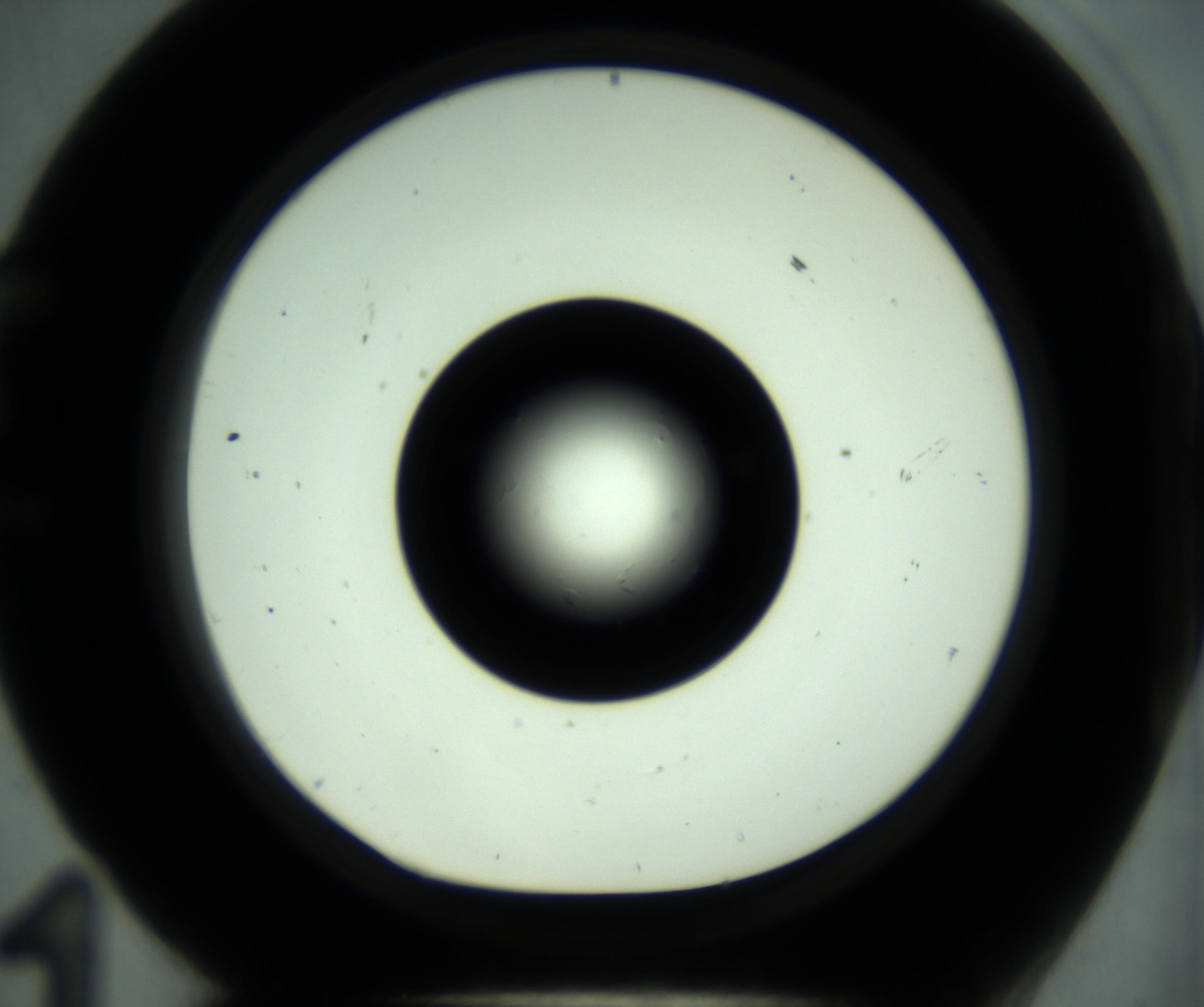 RI01_03_000_0212_Proj1_Clon1_MC_0000MC102881_001_161021_11_05_01_00_98_002_001_RAI.jpg