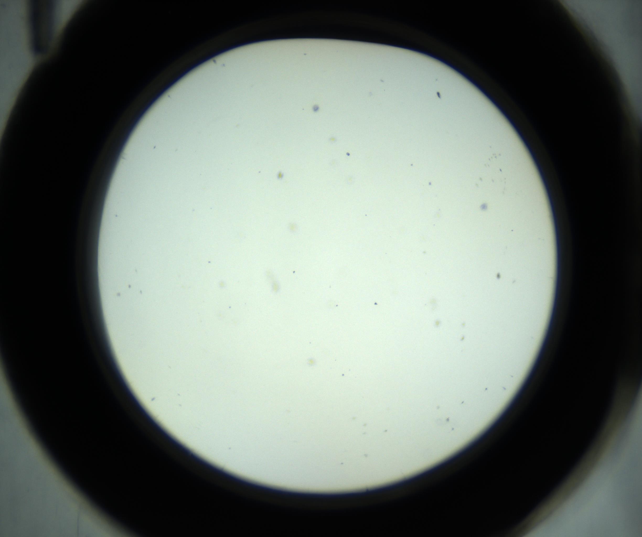 RI01_03_000_0212_Proj1_Clon1_MC_0000MC102881_001_161021_11_05_02_00_98_002_001_RAI.jpg