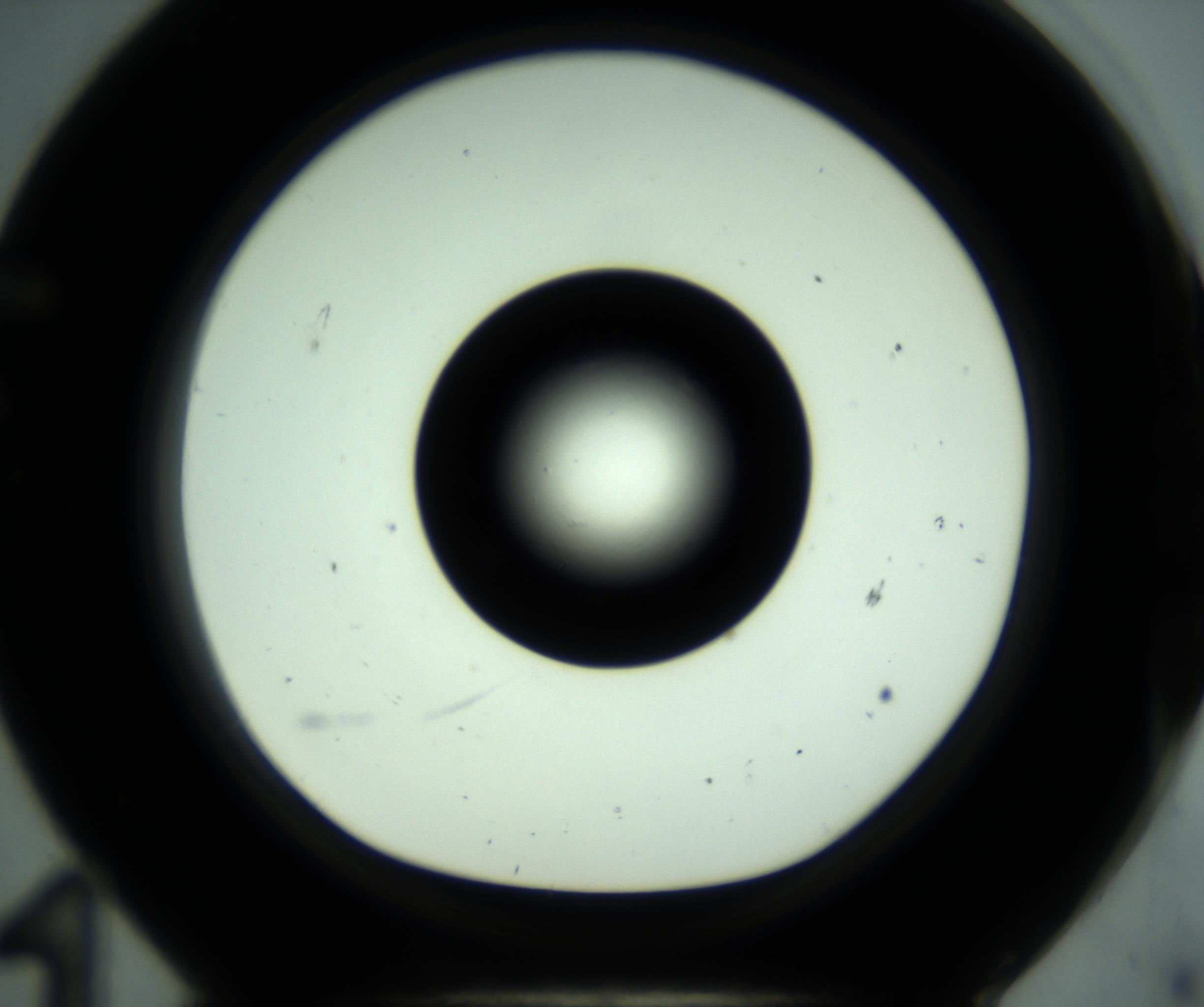 RI01_03_000_0212_Proj1_Clon1_MC_0000MC102881_001_161021_11_06_01_00_98_002_001_RAI.jpg