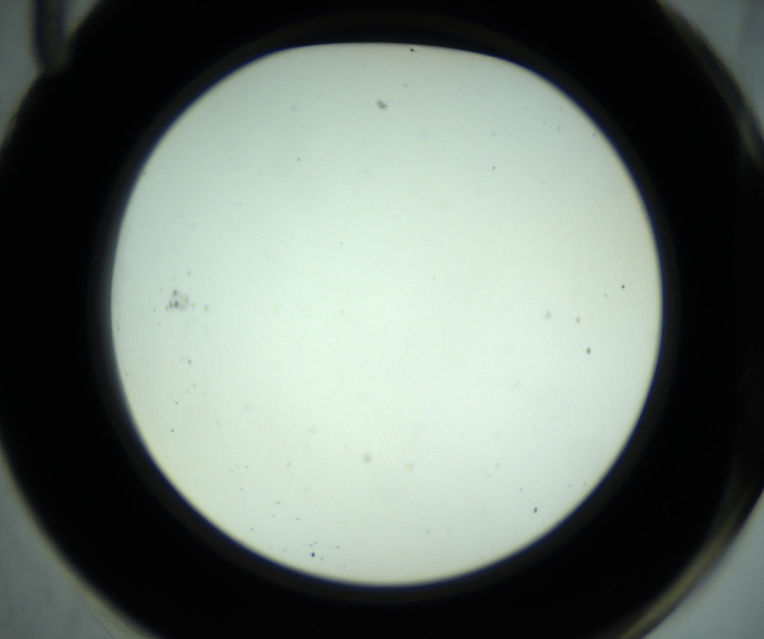 RI01_03_000_0212_Proj1_Clon1_MC_0000MC102881_001_161021_11_06_02_00_98_002_001_RAI.jpg