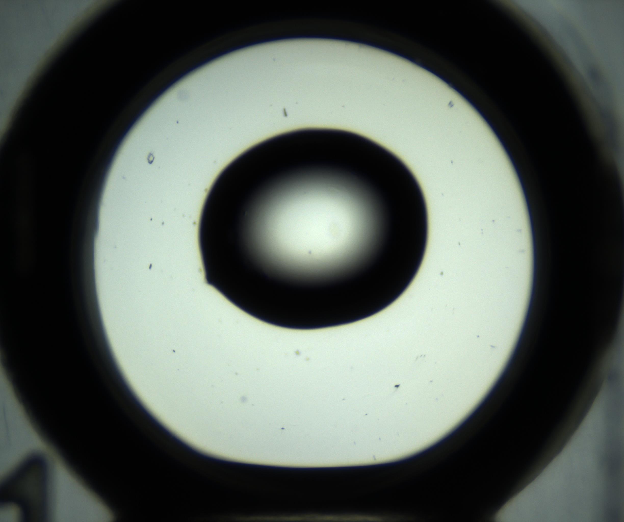RI01_03_000_0212_Proj1_Clon1_MC_0000MC102881_001_161021_11_08_01_00_98_002_001_RAI.jpg
