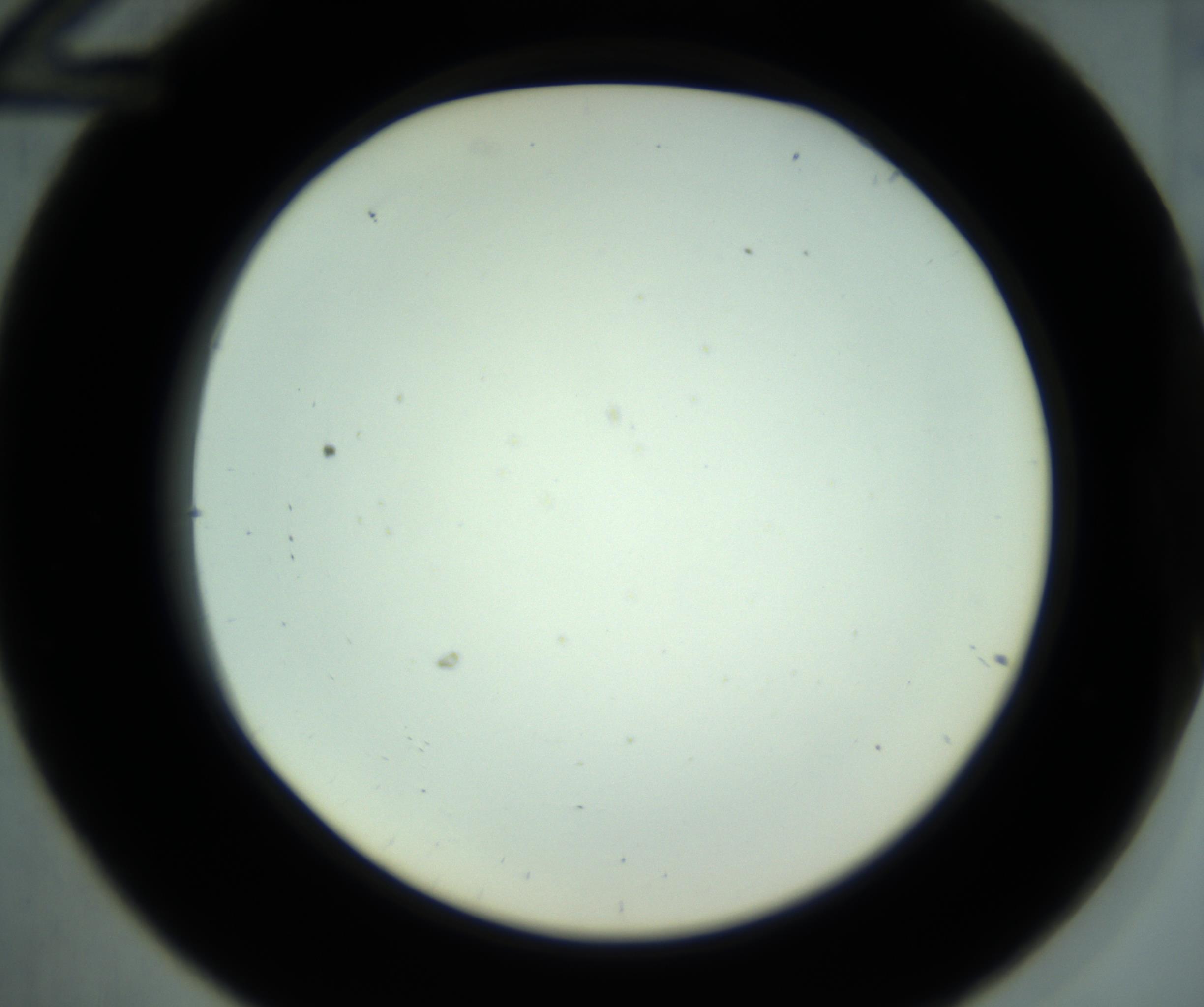 RI01_03_000_0212_Proj1_Clon1_MC_0000MC102881_001_161021_12_03_02_00_98_002_001_RAI.jpg
