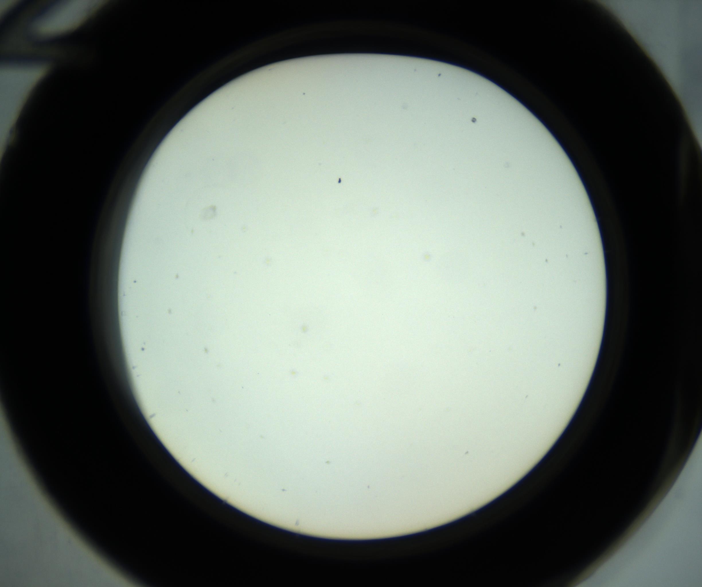 RI01_03_000_0212_Proj1_Clon1_MC_0000MC102881_001_161021_12_04_02_00_98_002_001_RAI.jpg