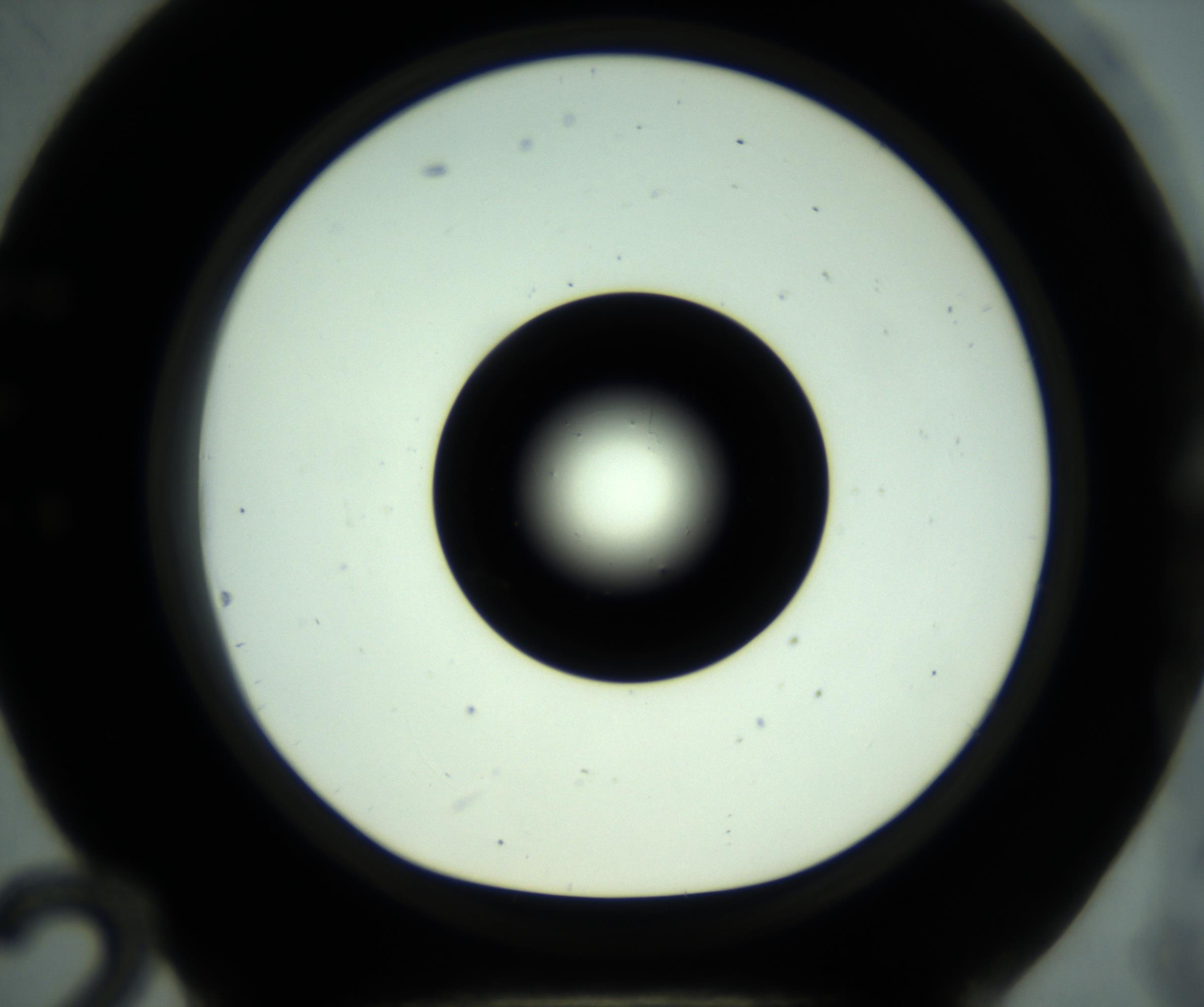 RI01_03_000_0212_Proj1_Clon1_MC_0000MC102881_001_161021_12_05_01_00_98_002_001_RAI.jpg