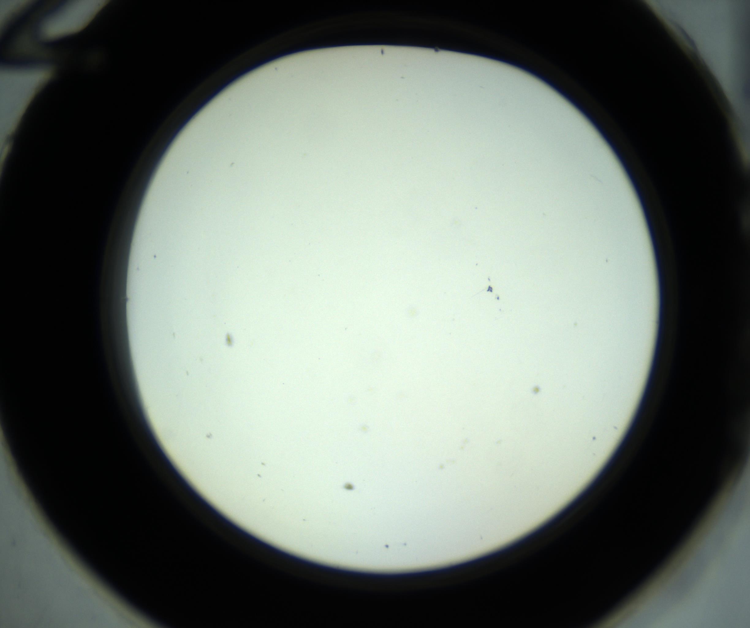 RI01_03_000_0212_Proj1_Clon1_MC_0000MC102881_001_161021_12_05_02_00_98_002_001_RAI.jpg