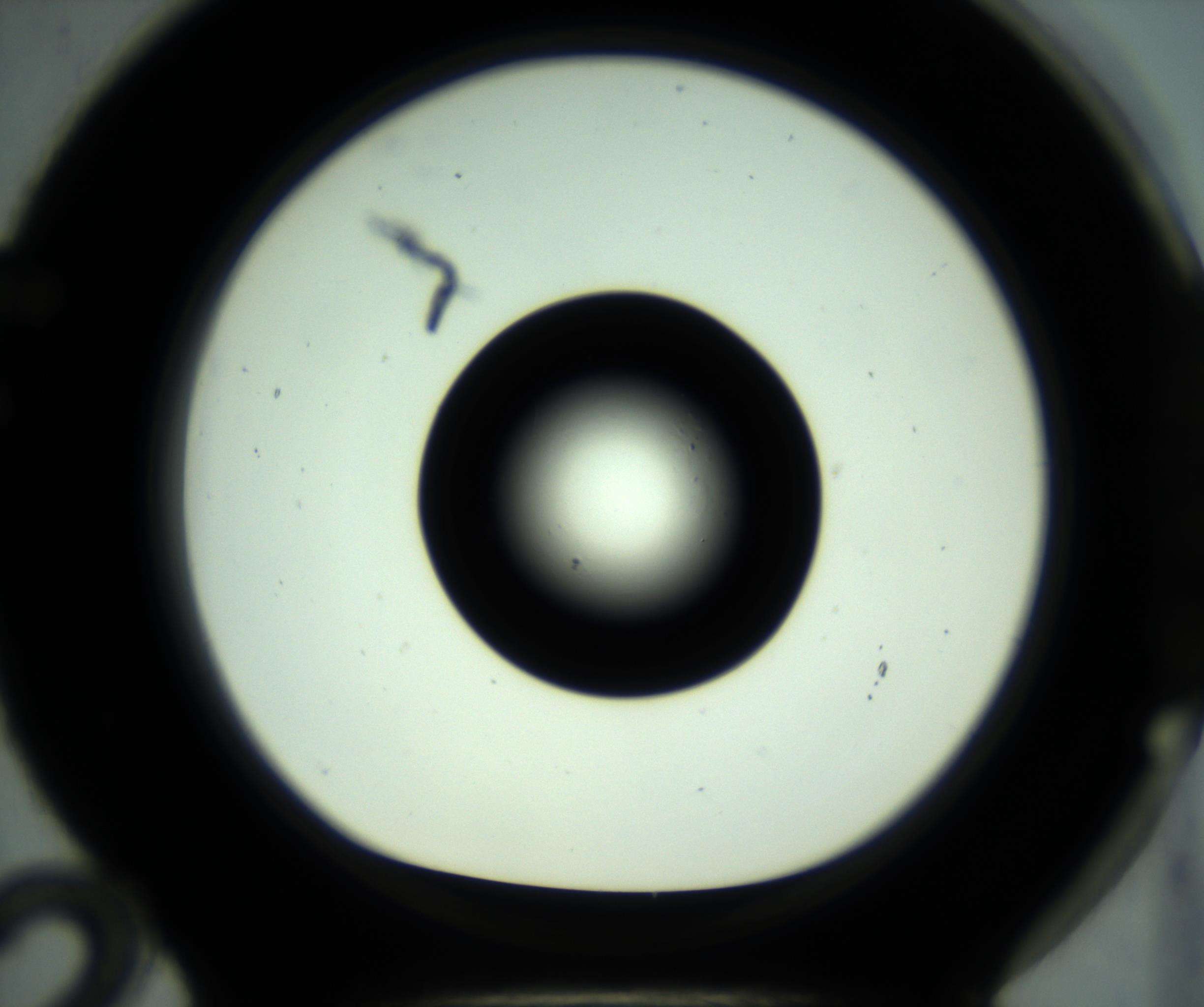 RI01_03_000_0212_Proj1_Clon1_MC_0000MC102881_001_161021_12_06_01_00_98_002_001_RAI.jpg