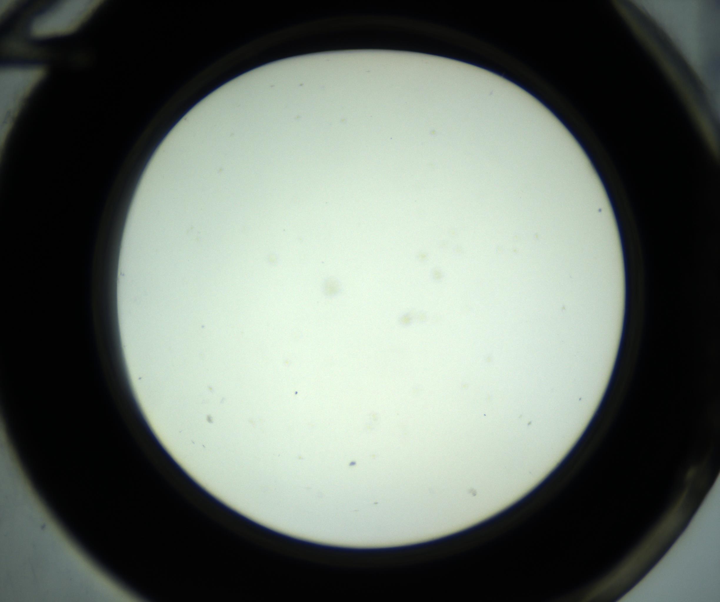 RI01_03_000_0212_Proj1_Clon1_MC_0000MC102881_001_161021_12_06_02_00_98_002_001_RAI.jpg