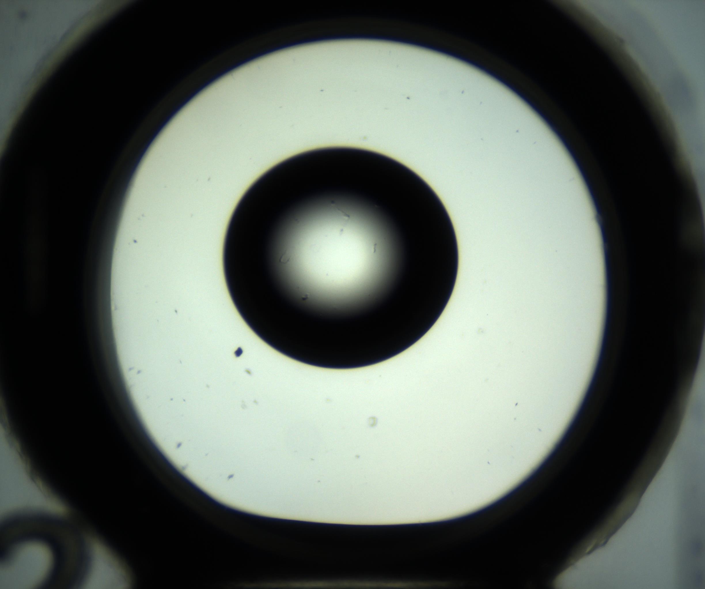 RI01_03_000_0212_Proj1_Clon1_MC_0000MC102881_001_161021_12_08_01_00_98_002_001_RAI.jpg