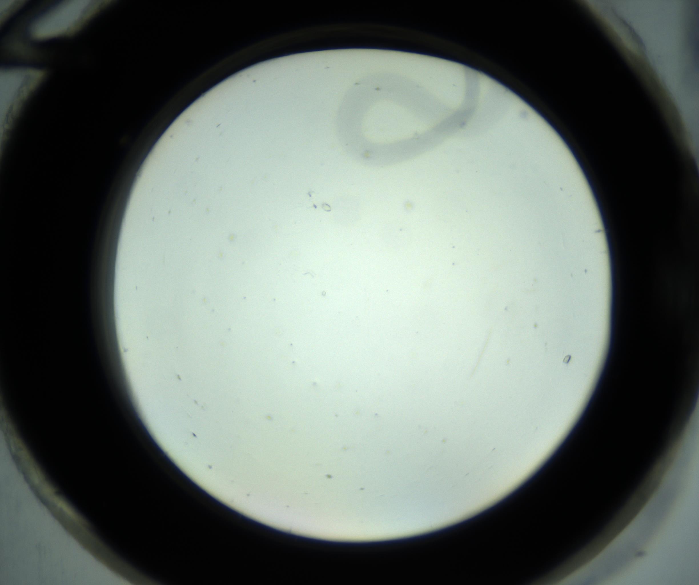RI01_03_000_0212_Proj1_Clon1_MC_0000MC102881_001_161021_12_08_02_00_98_002_001_RAI.jpg
