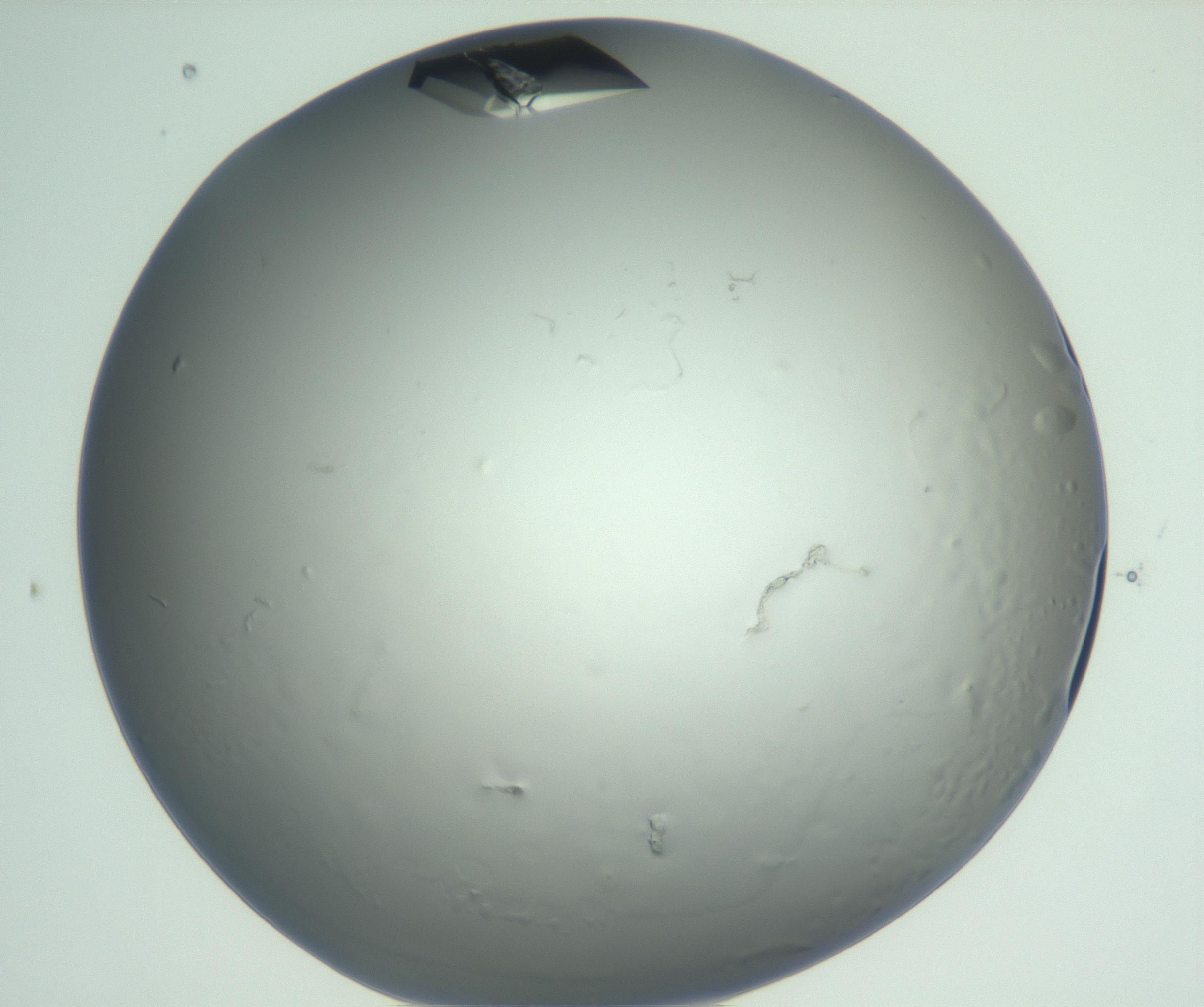 RI01_03_000_0212_Proj1_Clon1_MC_0000MC102881_003_161024_05_04_01_00_99_002_001_RAI.jpg