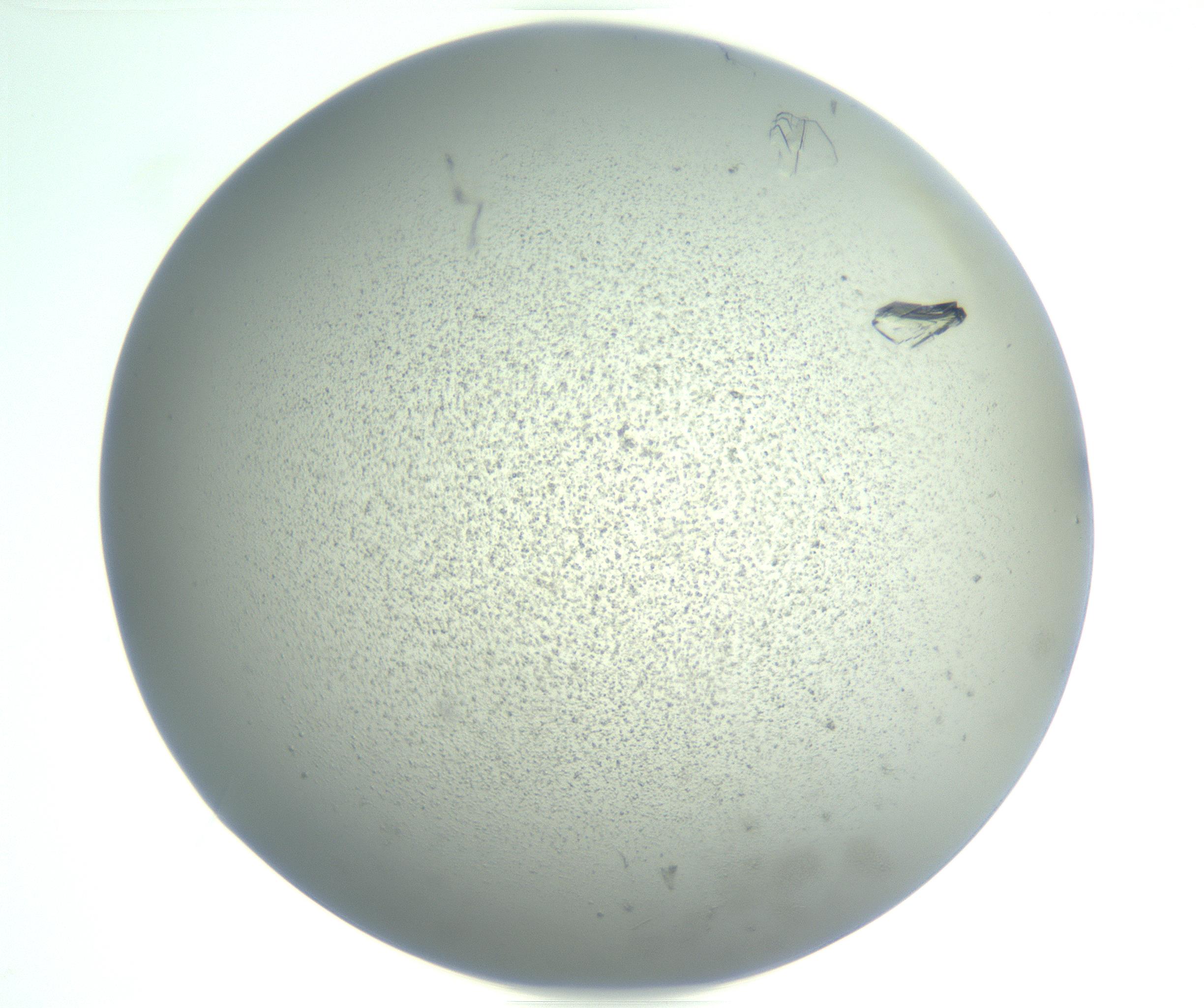 RI01_03_000_0212_Proj1_Clon1_MC_0000MC102881_004_161026_03_06_01_00_99_002_001_RAI.jpg