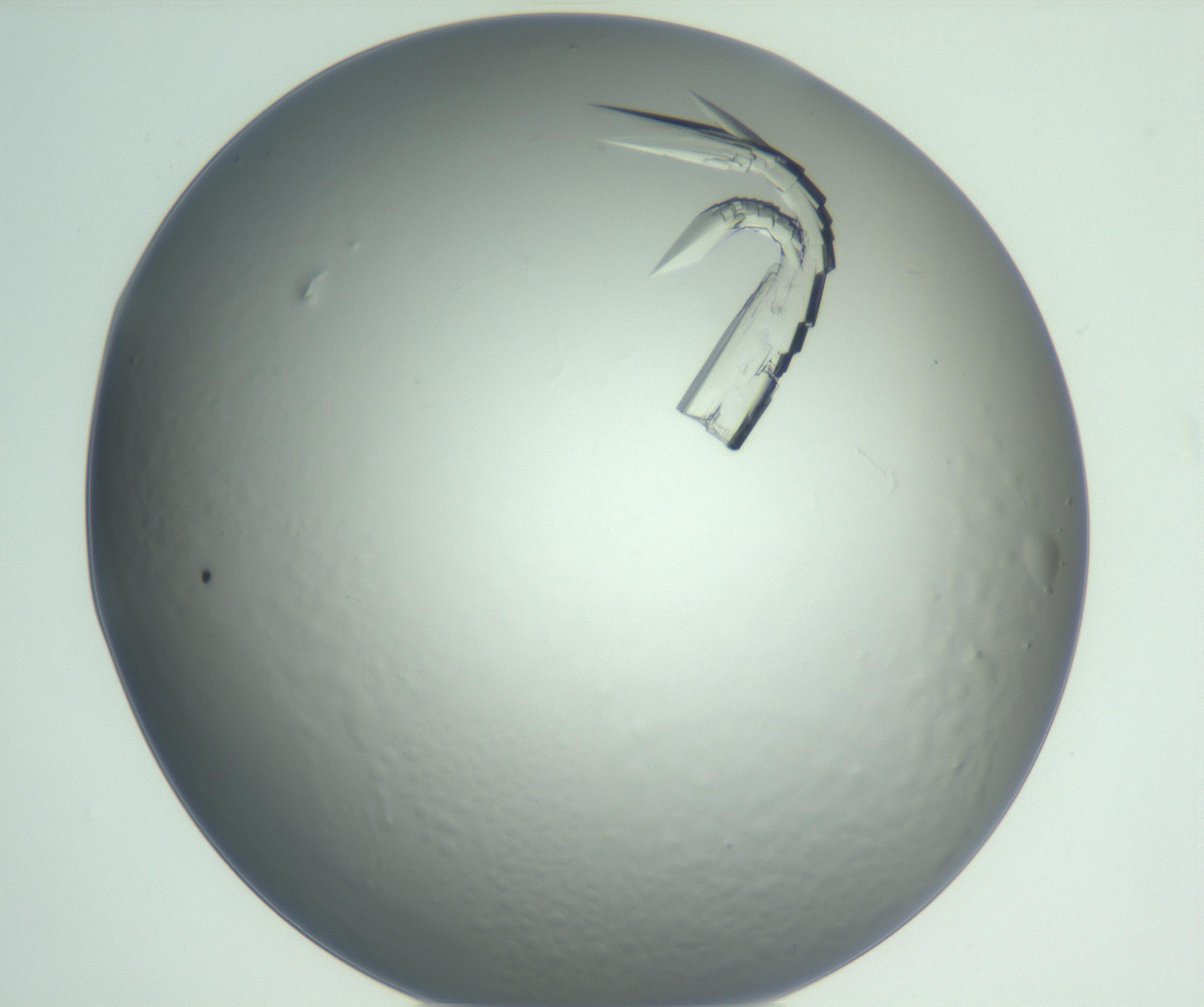 RI01_03_000_0212_Proj1_Clon1_MC_0000MC102881_004_161026_04_02_01_00_99_002_001_RAI.jpg