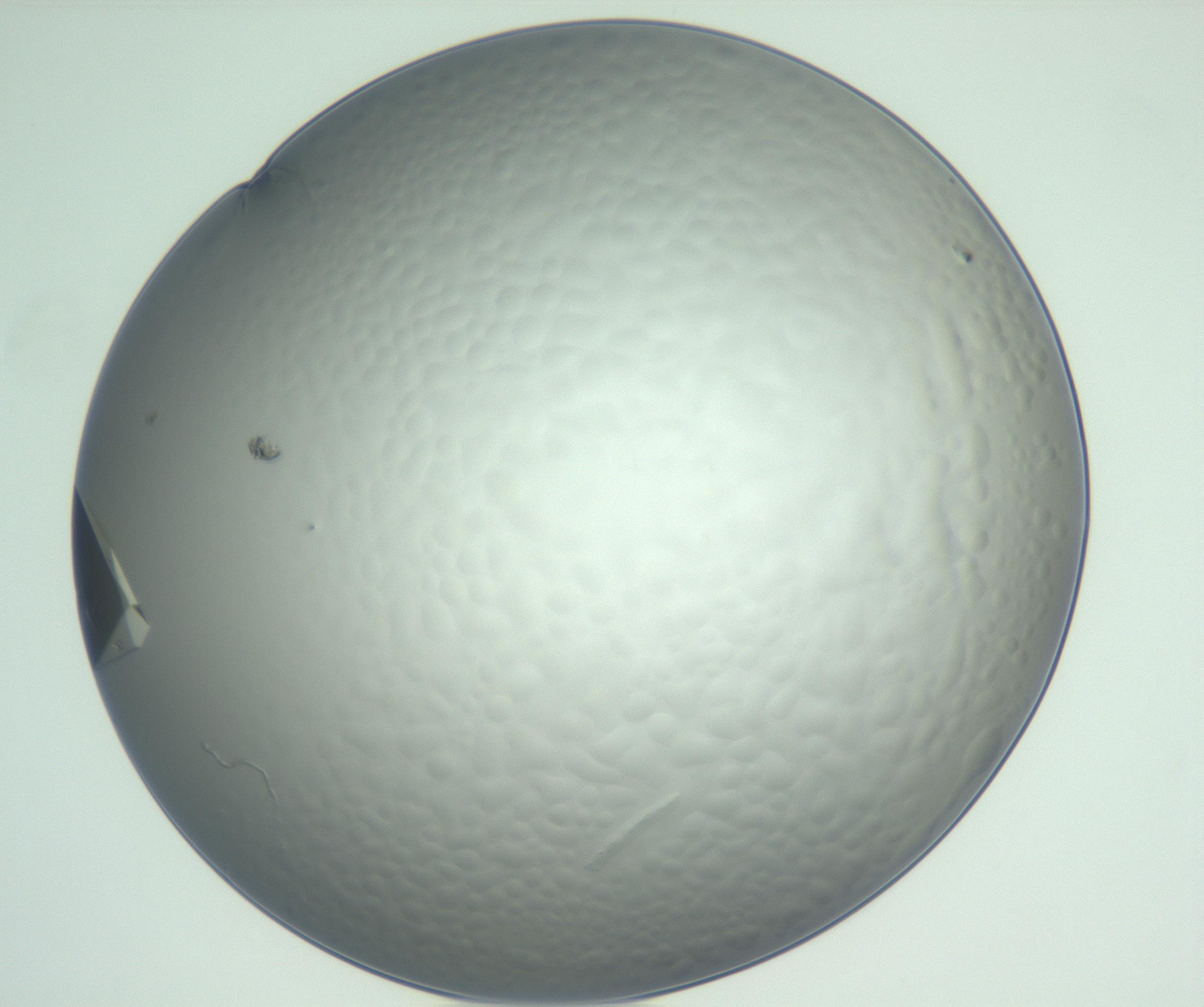 RI01_03_000_0212_Proj1_Clon1_MC_0000MC102881_005_161028_07_04_01_00_99_002_001_RAI.jpg