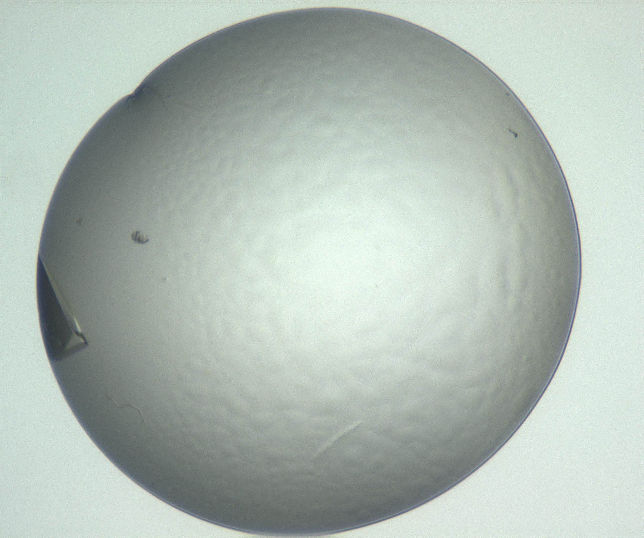 RI01_03_000_0212_Proj1_Clon1_MC_0000MC102881_007_161104_07_04_01_00_99_002_001_RAI.jpg