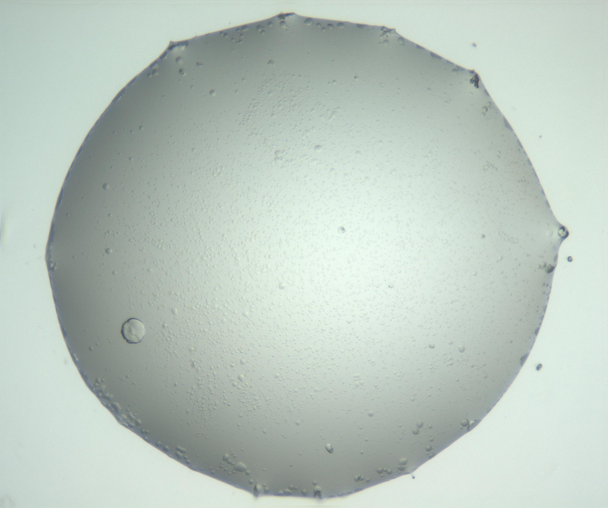 RI01_03_000_0212_Proj1_Clon1_MC_0000MC102883_003_161024_01_06_02_00_99_002_001_RAI.jpg