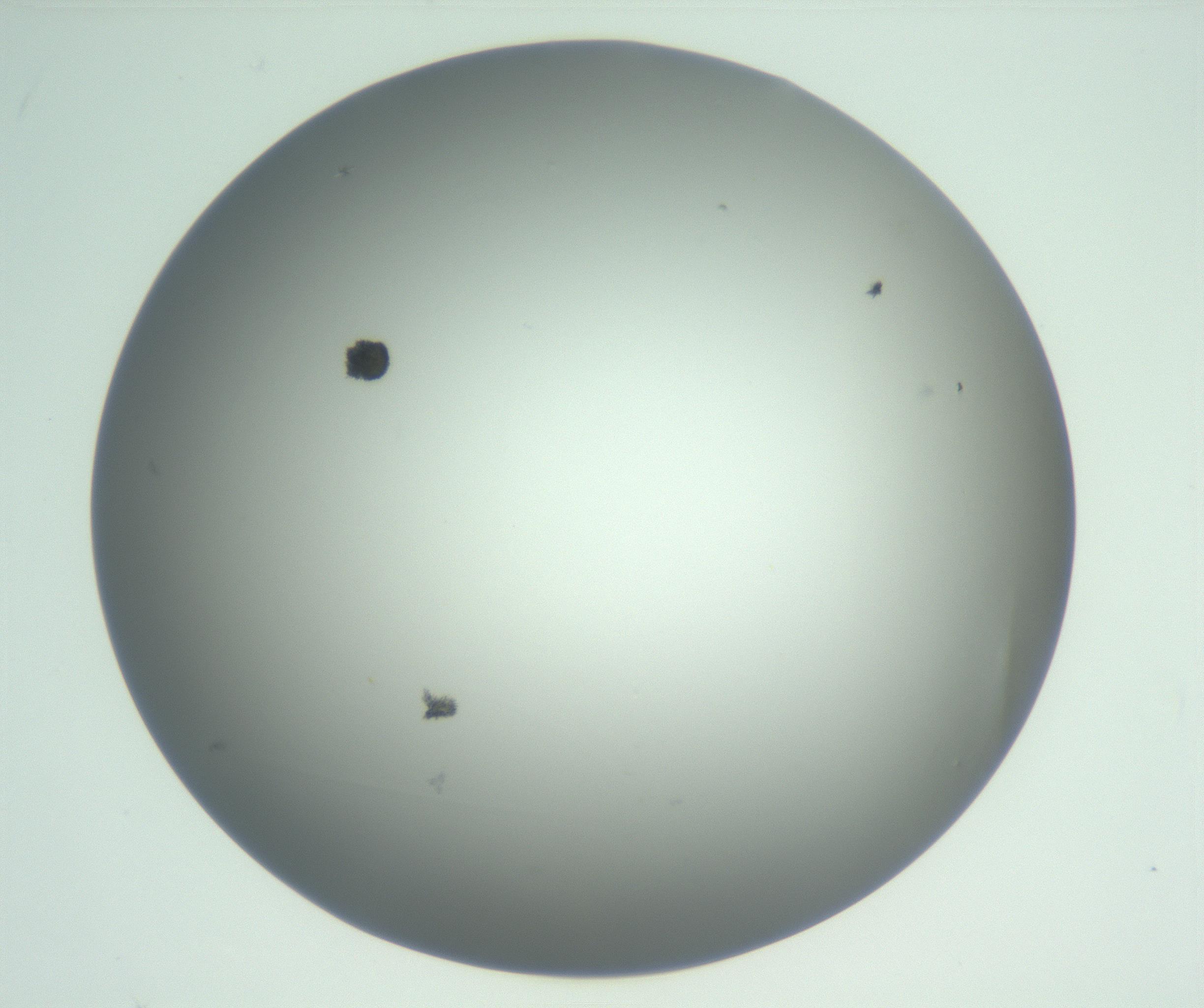 RI01_03_000_0212_Proj1_Clon1_MC_0000MC102883_003_161024_04_05_02_00_99_002_001_RAI.jpg