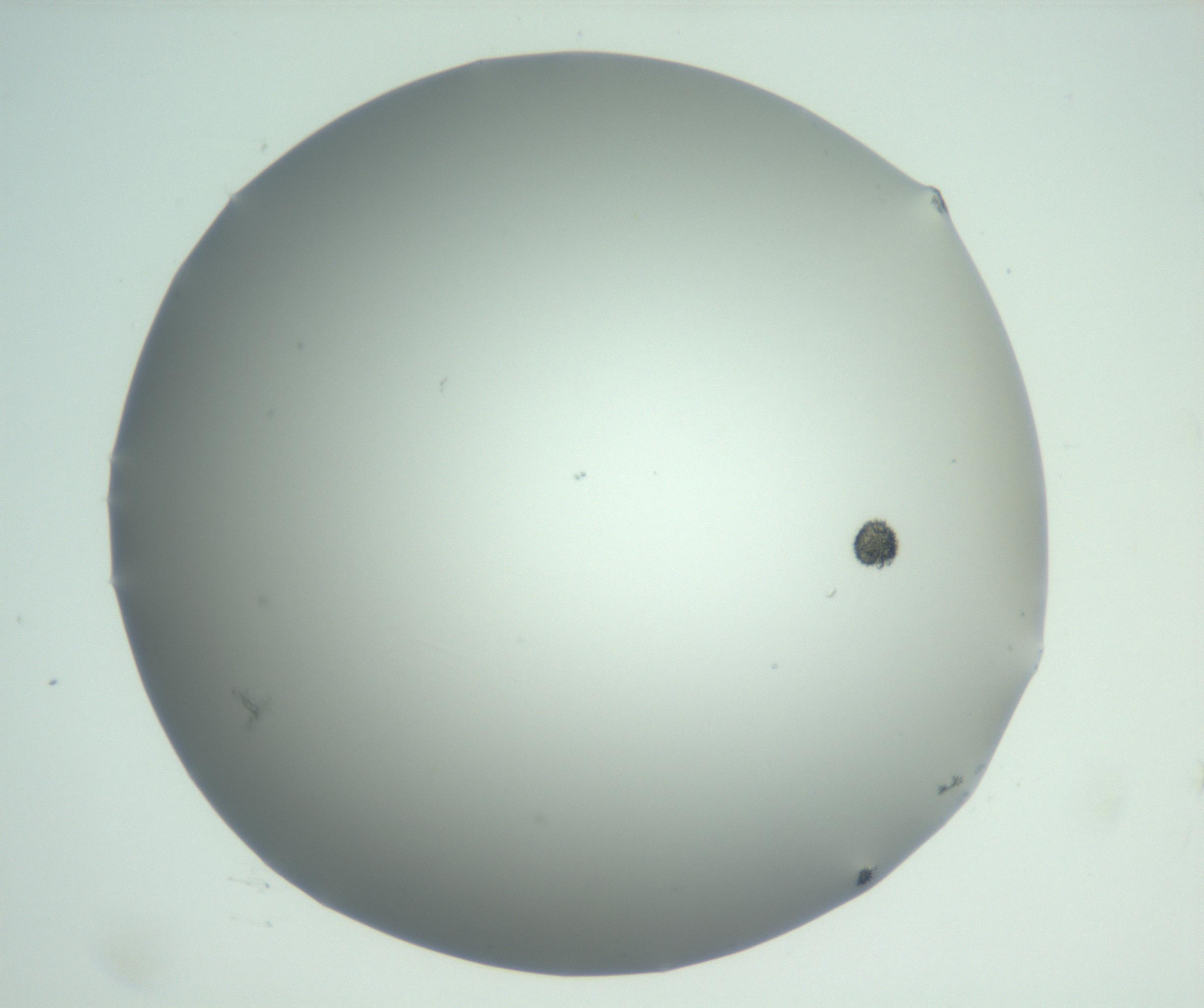 RI01_03_000_0212_Proj1_Clon1_MC_0000MC102883_003_161024_11_07_02_00_99_002_001_RAI.jpg