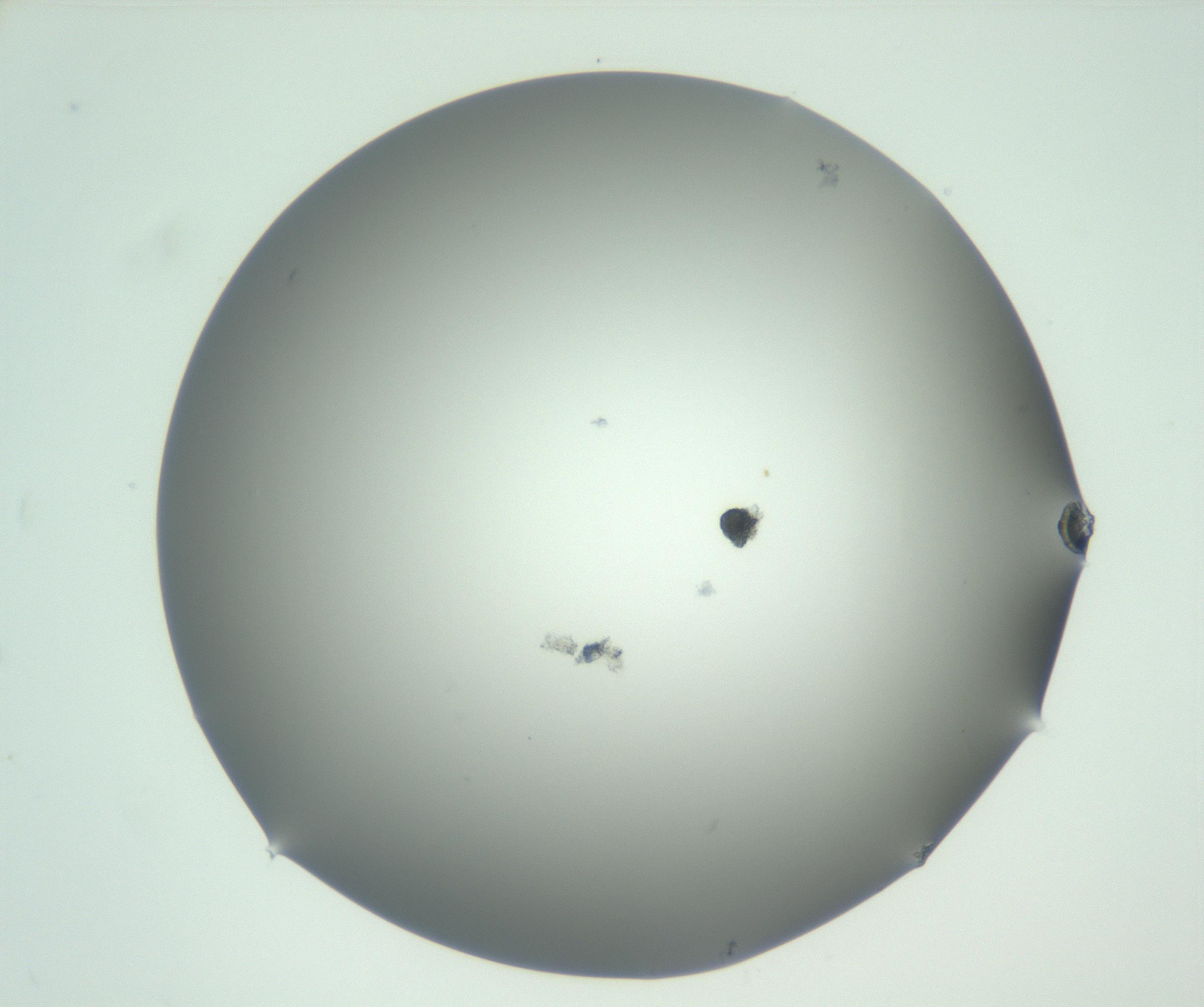 RI01_03_000_0212_Proj1_Clon1_MC_0000MC102883_003_161024_12_04_02_00_99_002_001_RAI.jpg