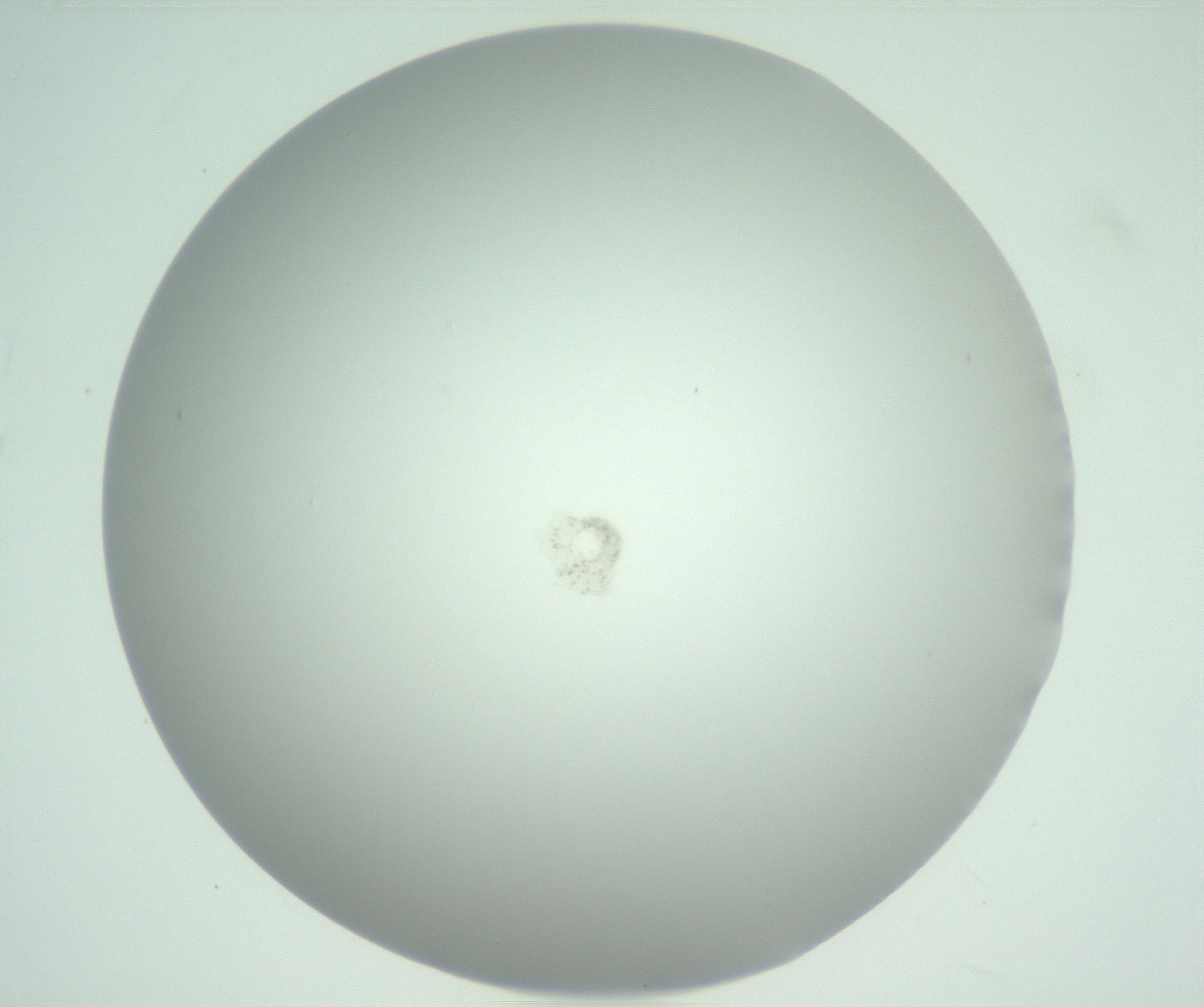 RI01_03_000_0212_Proj1_Clon1_MC_0000MC102883_003_161024_12_07_01_00_99_002_001_RAI.jpg