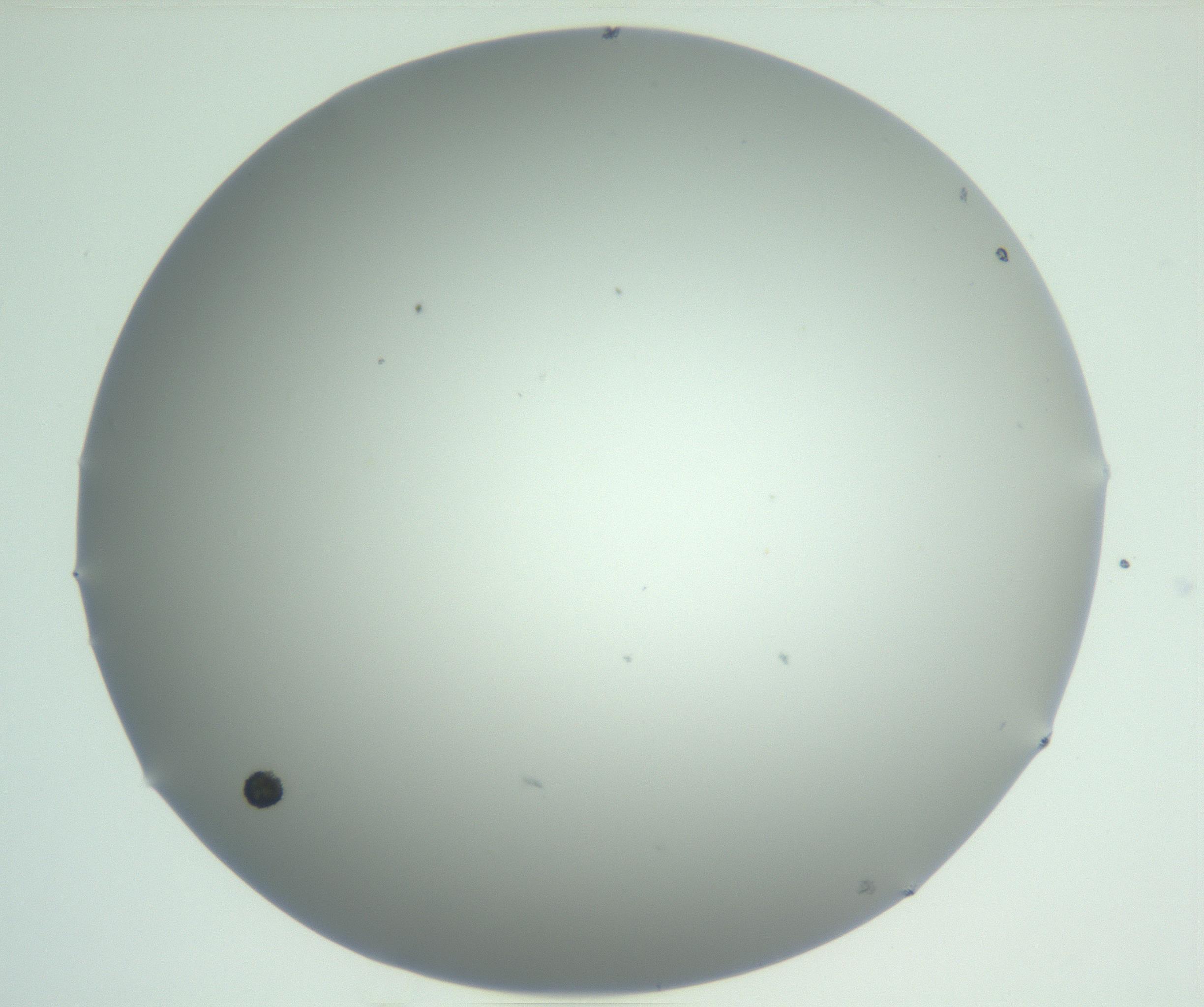 RI01_03_000_0212_Proj1_Clon1_MC_0000MC102883_004_161026_01_05_02_00_99_002_001_RAI.jpg