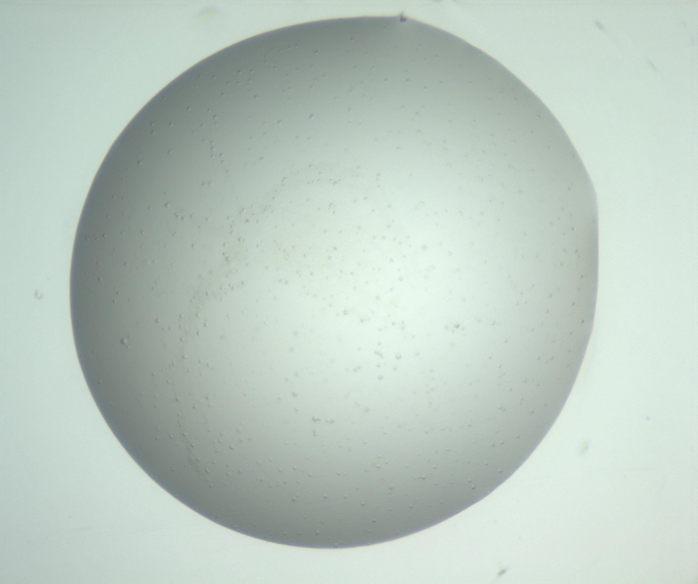 RI01_03_000_0212_Proj1_Clon1_MC_0000MC102883_007_161104_04_01_01_00_99_002_001_RAI.jpg