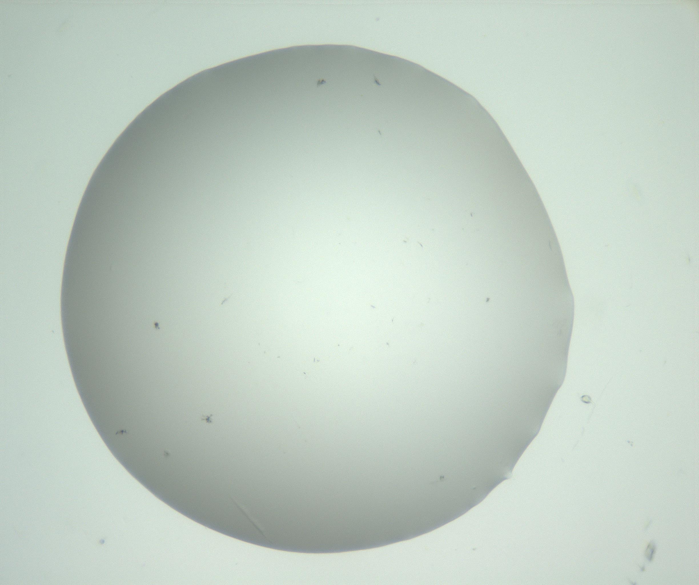 RI01_03_000_0212_Proj1_Clon1_MC_0000MC102883_007_161104_12_06_01_00_99_002_001_RAI.jpg