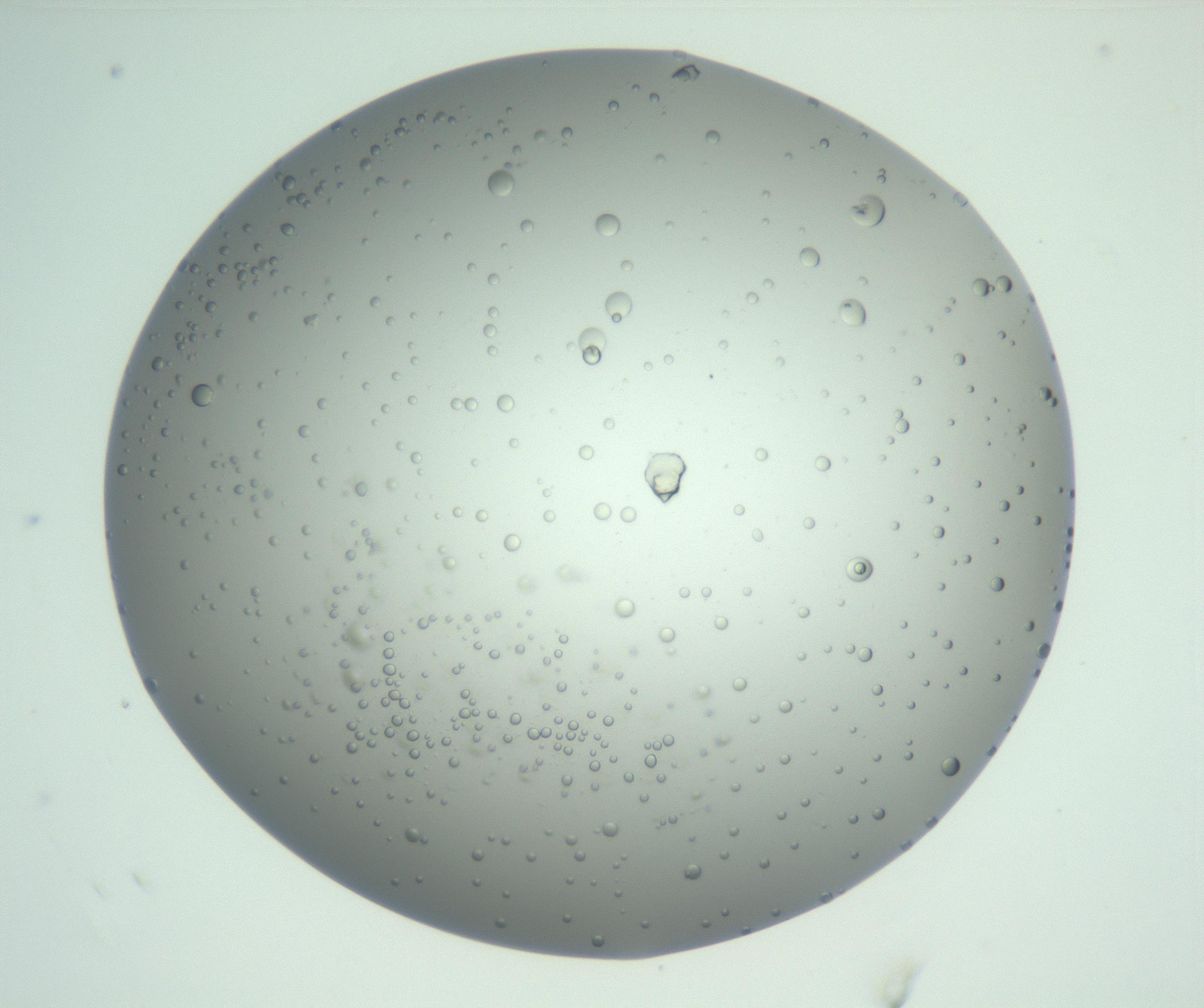 RI01_03_000_0212_Proj1_Clon1_MC_0000MC102883_008_161111_06_03_02_00_99_002_001_RAI.jpg