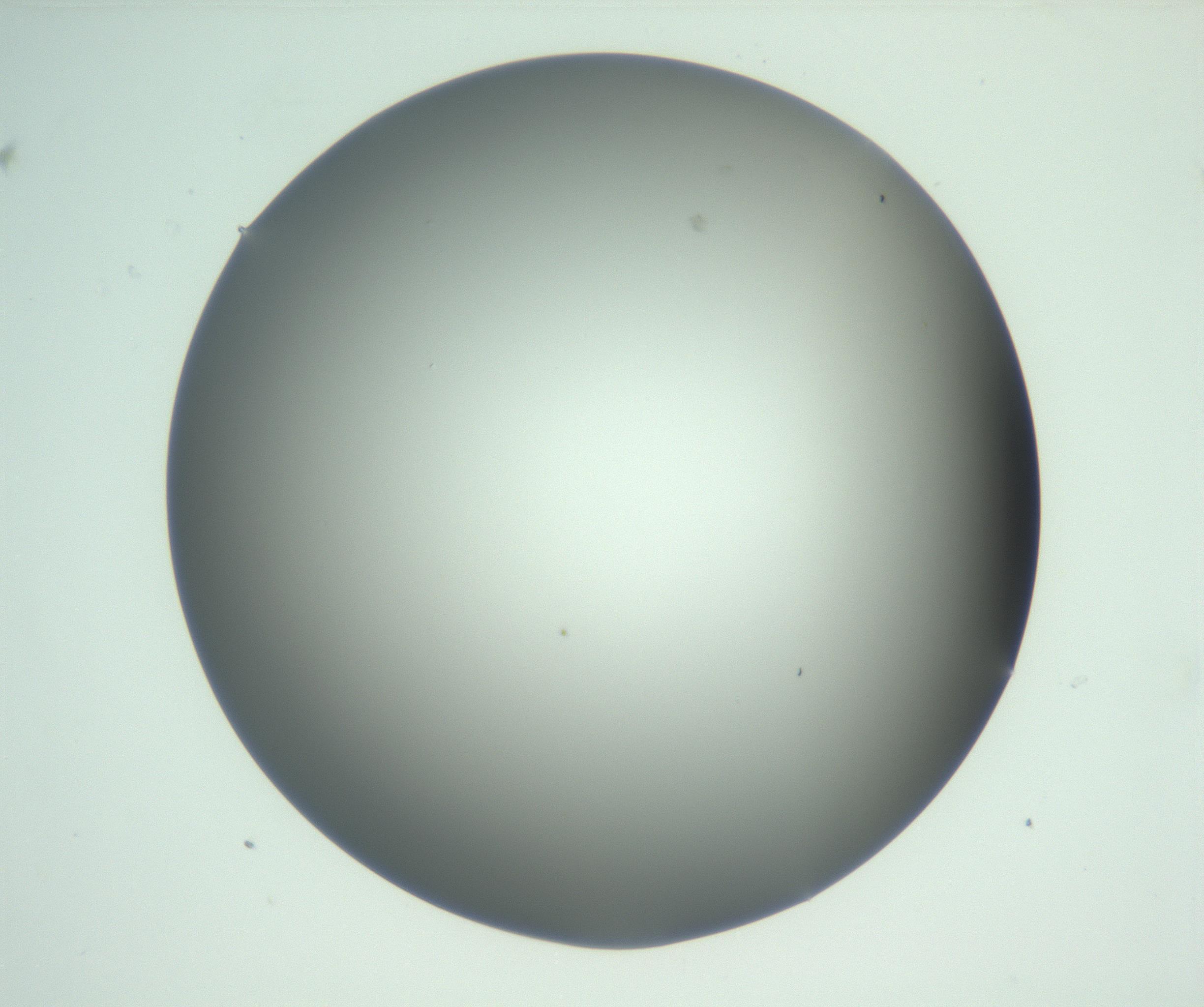 RI01_03_000_0212_Proj1_Clon1_MC_0000MC102883_008_161111_07_03_02_00_99_002_001_RAI.jpg