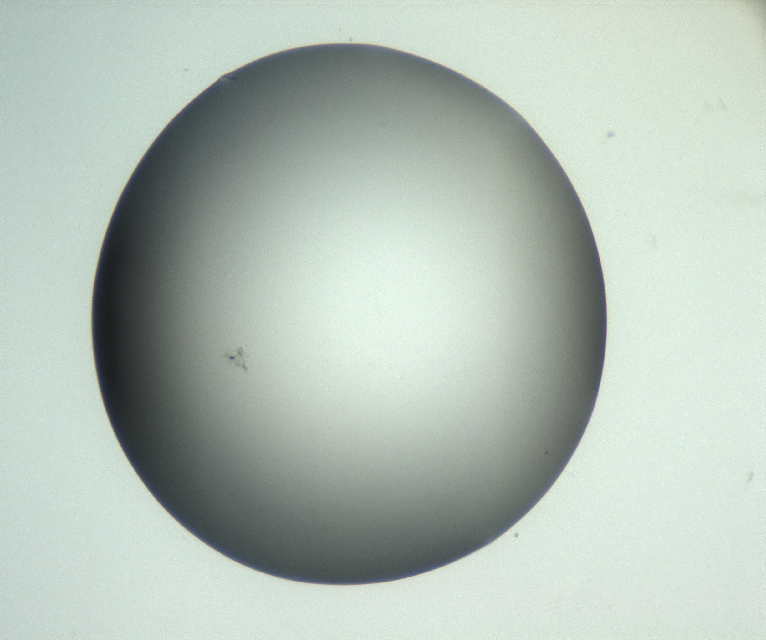 RI01_03_000_0212_Proj1_Clon1_MC_0000MC102883_008_161111_08_03_02_00_99_002_001_RAI.jpg