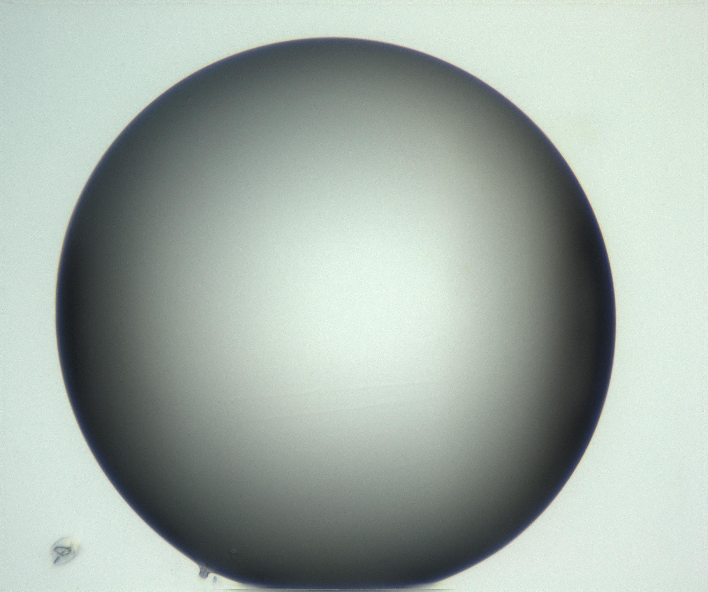 RI01_03_000_0212_Proj1_Clon1_MC_0000MC102883_008_161111_09_03_02_00_99_002_001_RAI.jpg