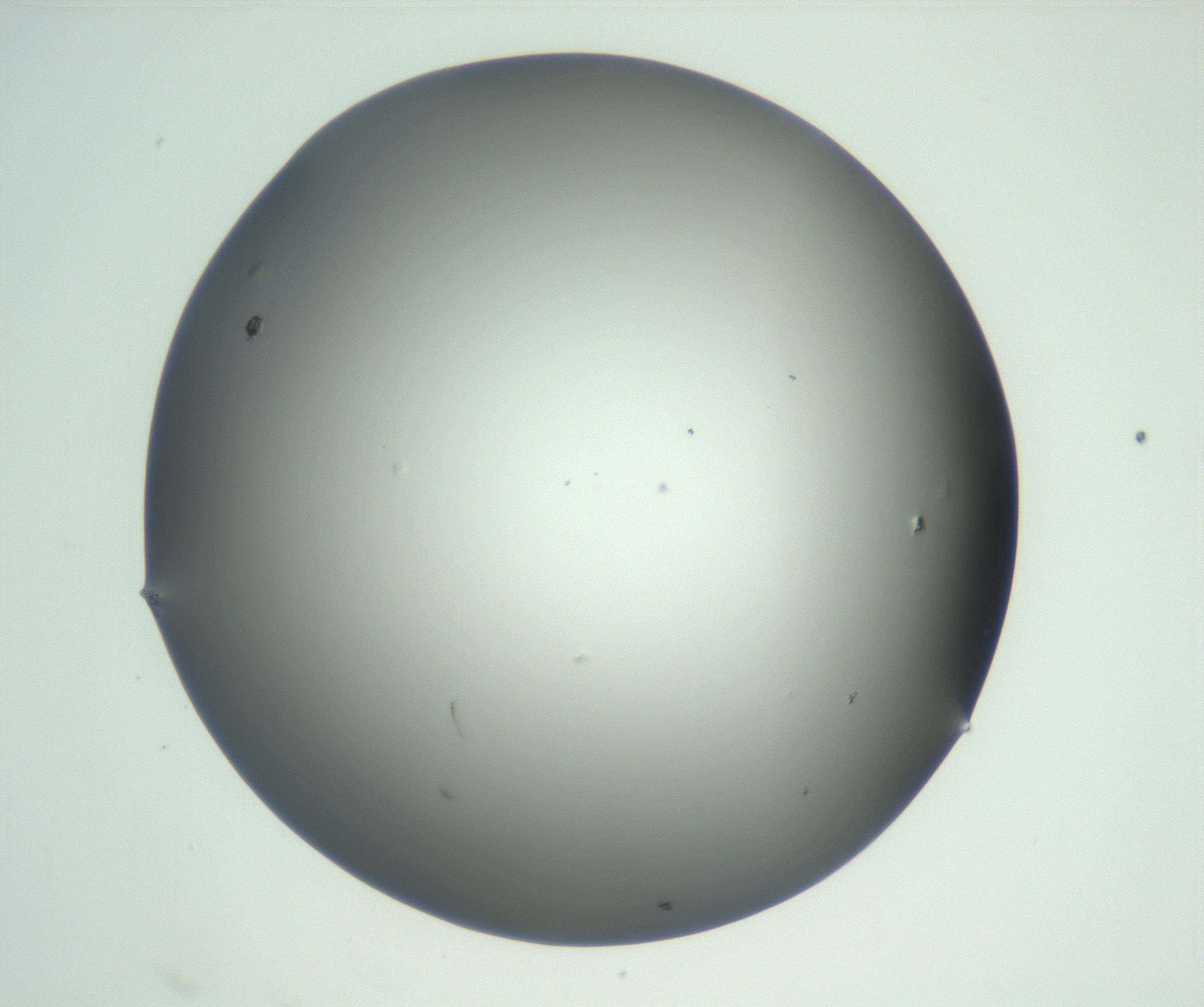 RI01_03_000_0212_Proj1_Clon1_MC_0000MC102883_008_161111_10_03_02_00_99_002_001_RAI.jpg