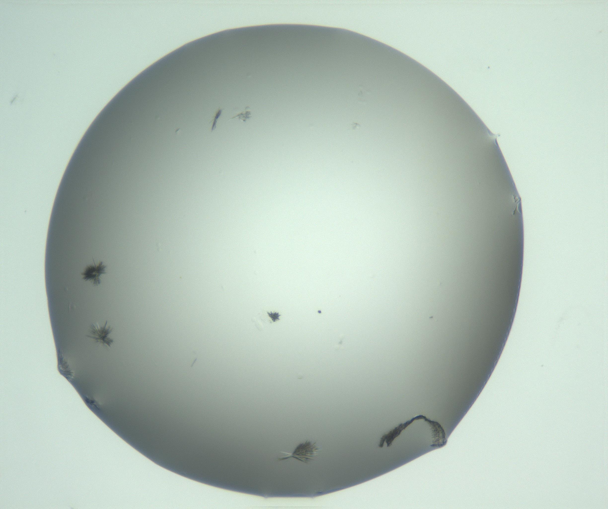 RI01_03_000_0212_Proj1_Clon1_MC_0000MC102883_012_161217_07_01_02_00_99_002_001_RAI.jpg