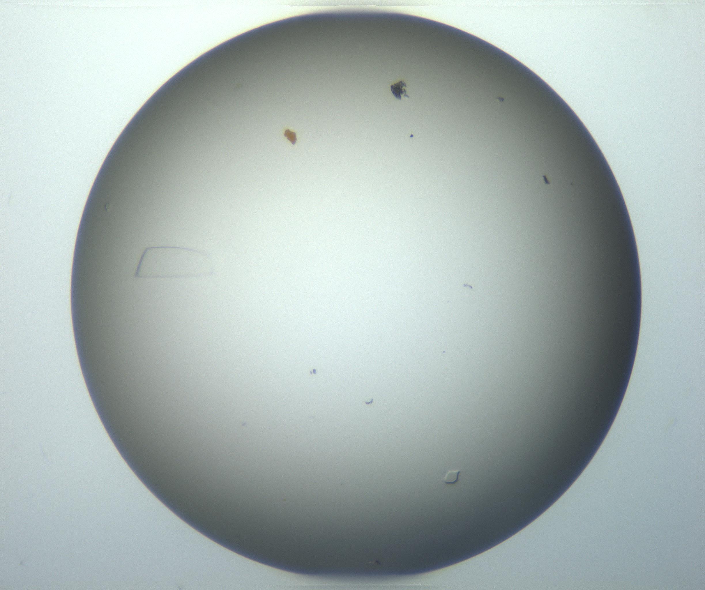 RI01_03_000_0212_Proj1_Clon1_MC_0000MC102884_007_161104_07_02_02_00_99_002_001_RAI.jpg