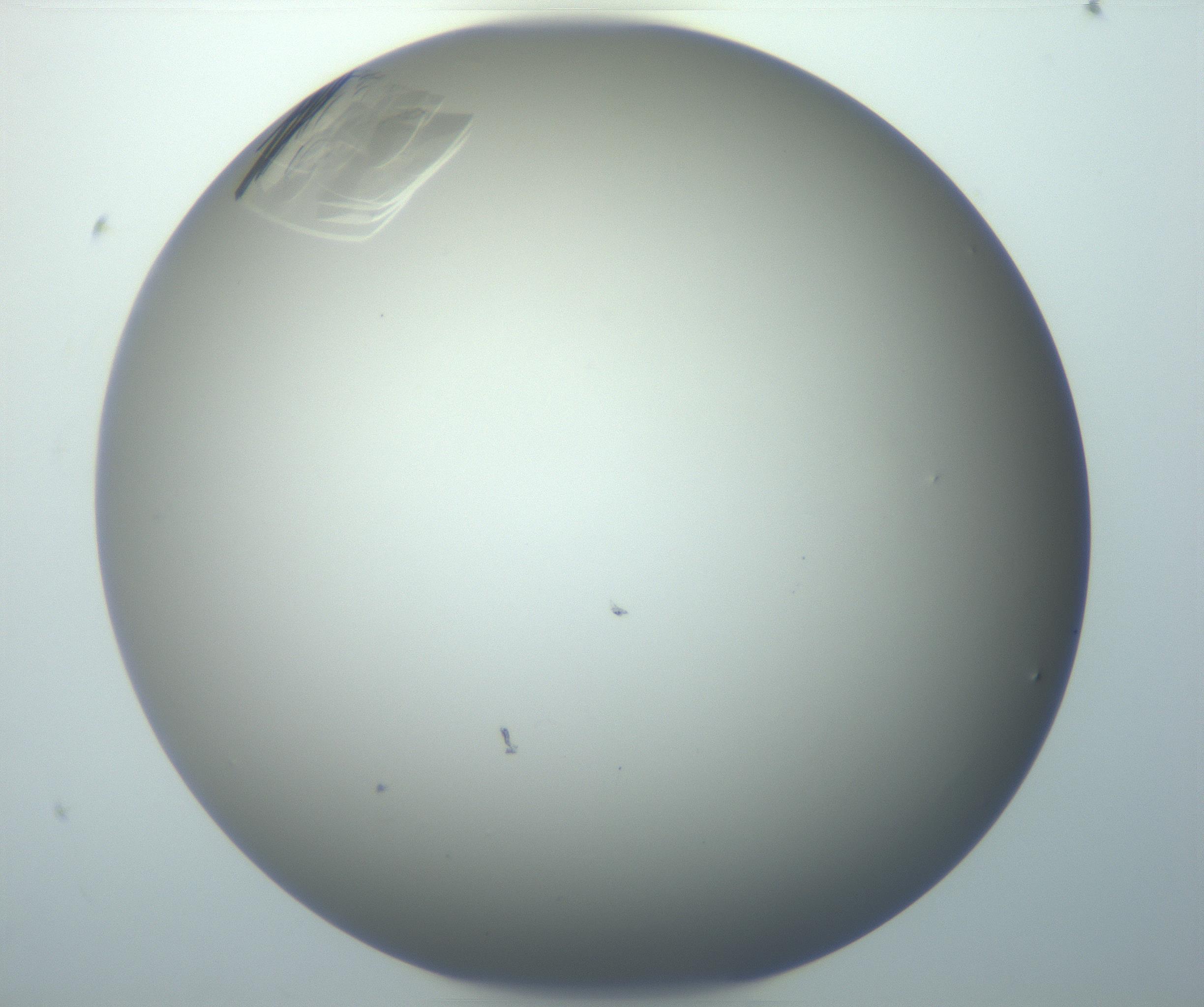 RI01_03_000_0212_Proj1_Clon1_MC_0000MC102884_007_161104_07_05_01_00_99_002_001_RAI.jpg