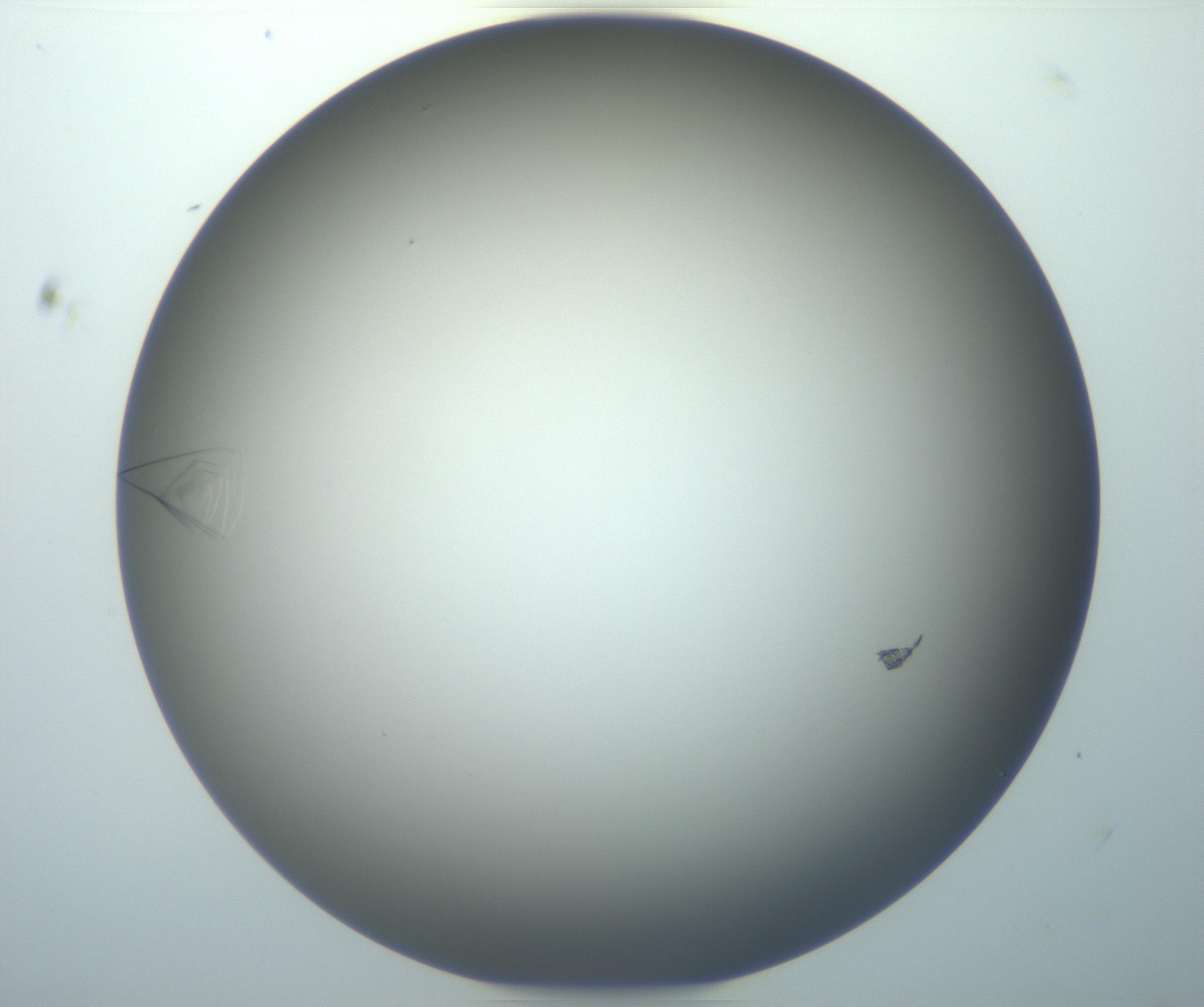 RI01_03_000_0212_Proj1_Clon1_MC_0000MC102884_007_161104_11_01_02_00_99_002_001_RAI.jpg