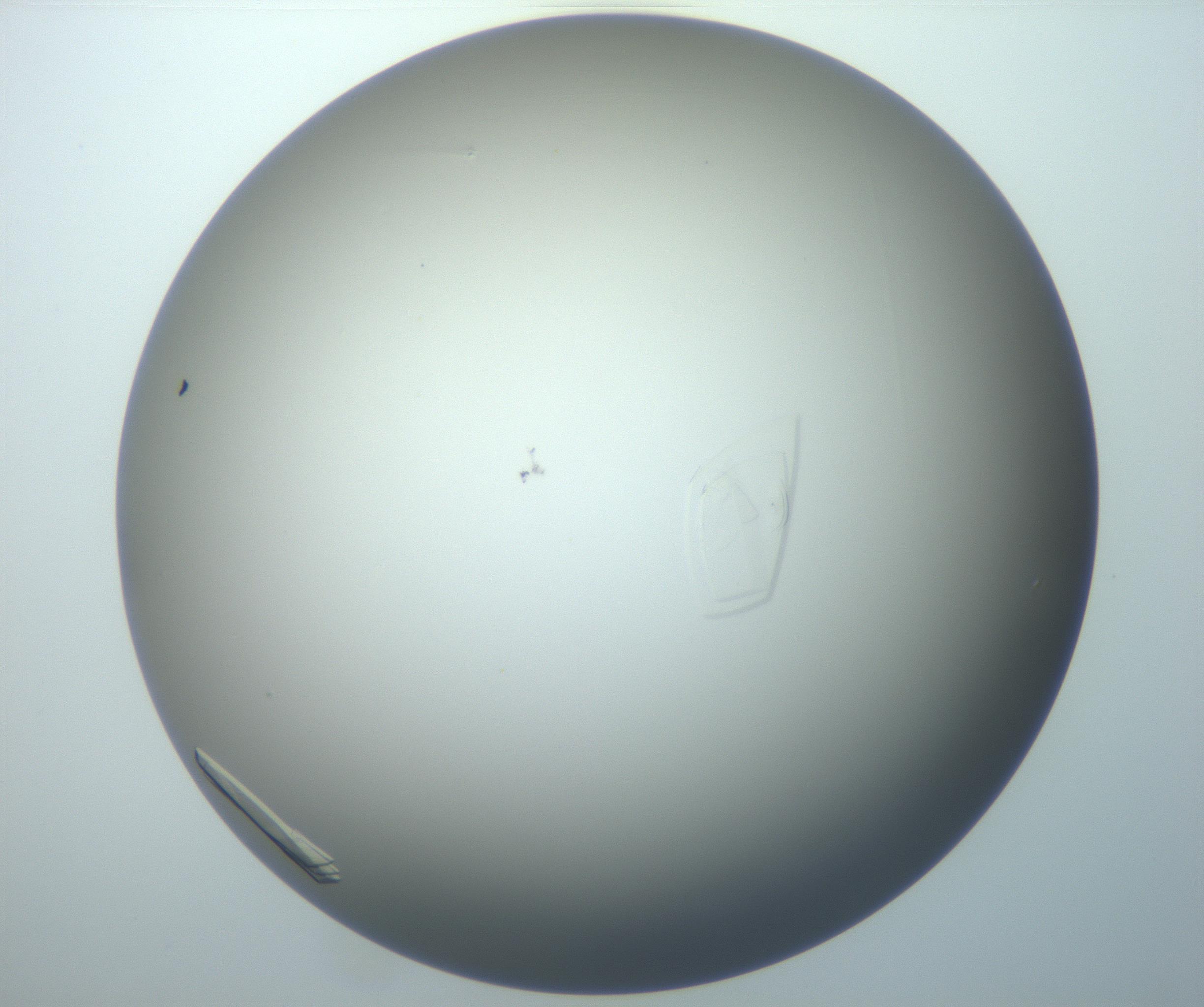 RI01_03_000_0212_Proj1_Clon1_MC_0000MC102884_007_161104_11_07_02_00_99_002_001_RAI.jpg