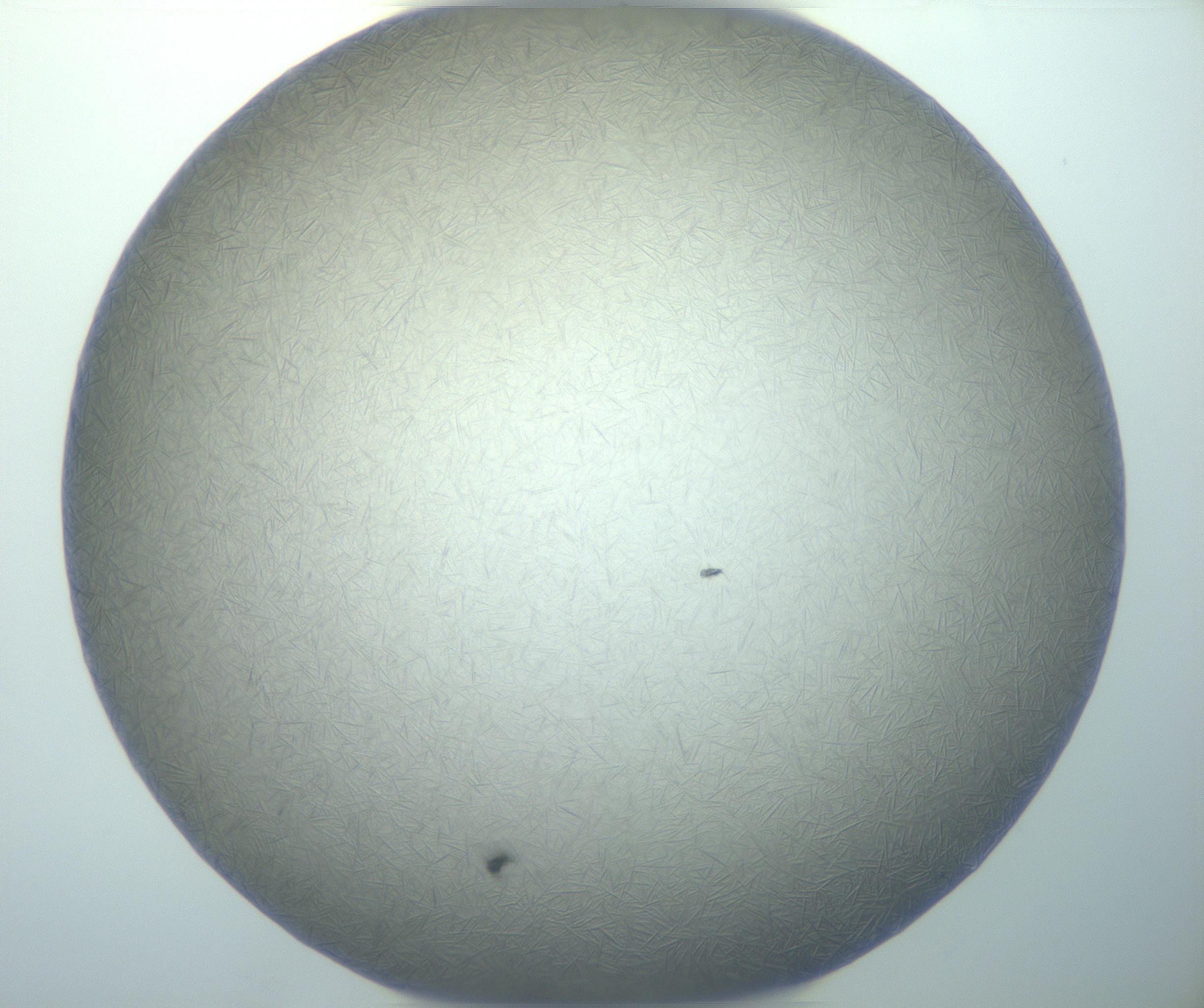 RI01_03_000_0212_Proj1_Clon1_MC_0000MC102884_010_161126_01_04_01_00_99_002_001_RAI.jpg