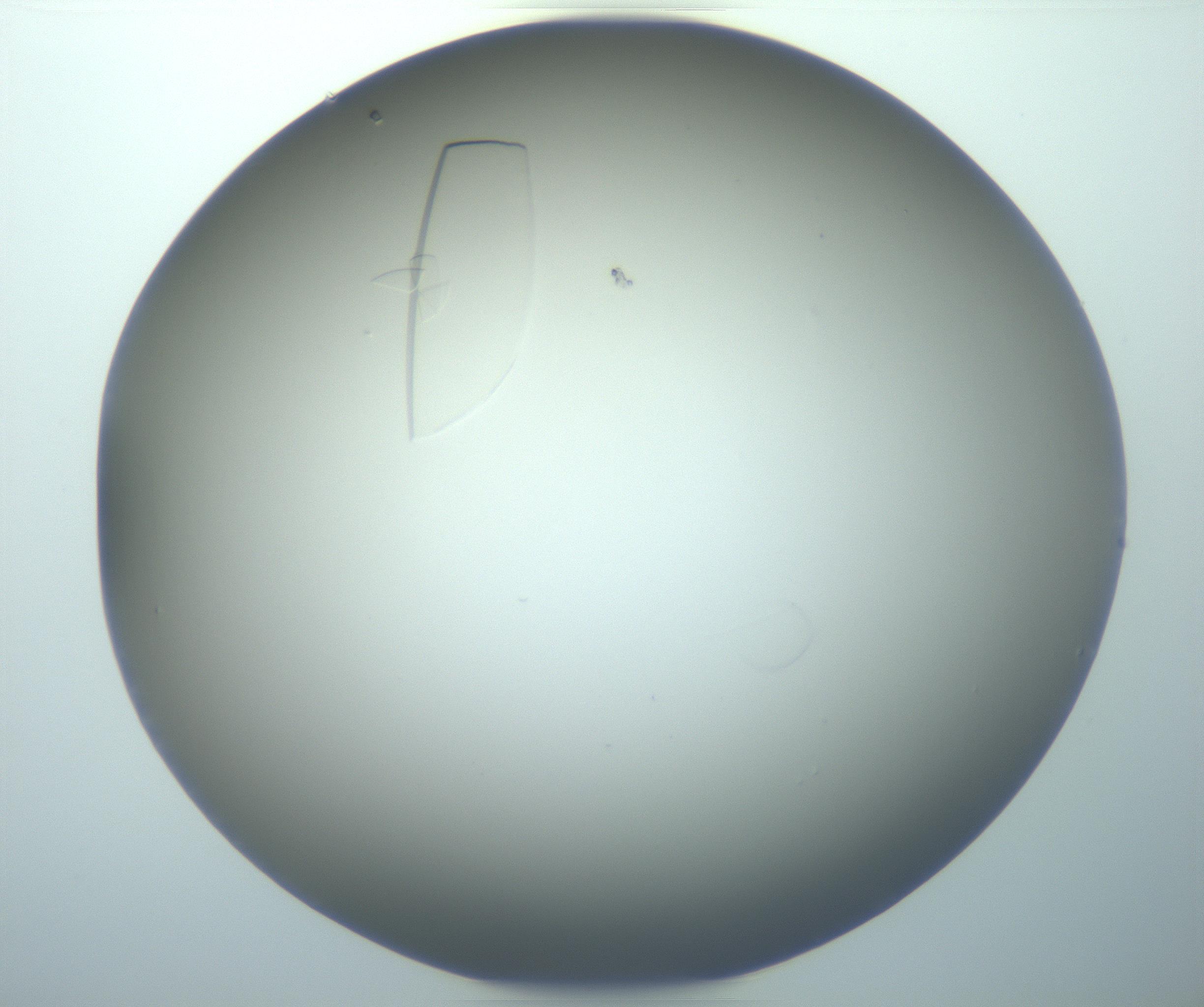RI01_03_000_0212_Proj1_Clon1_MC_0000MC102884_010_161126_02_01_02_00_99_002_001_RAI.jpg