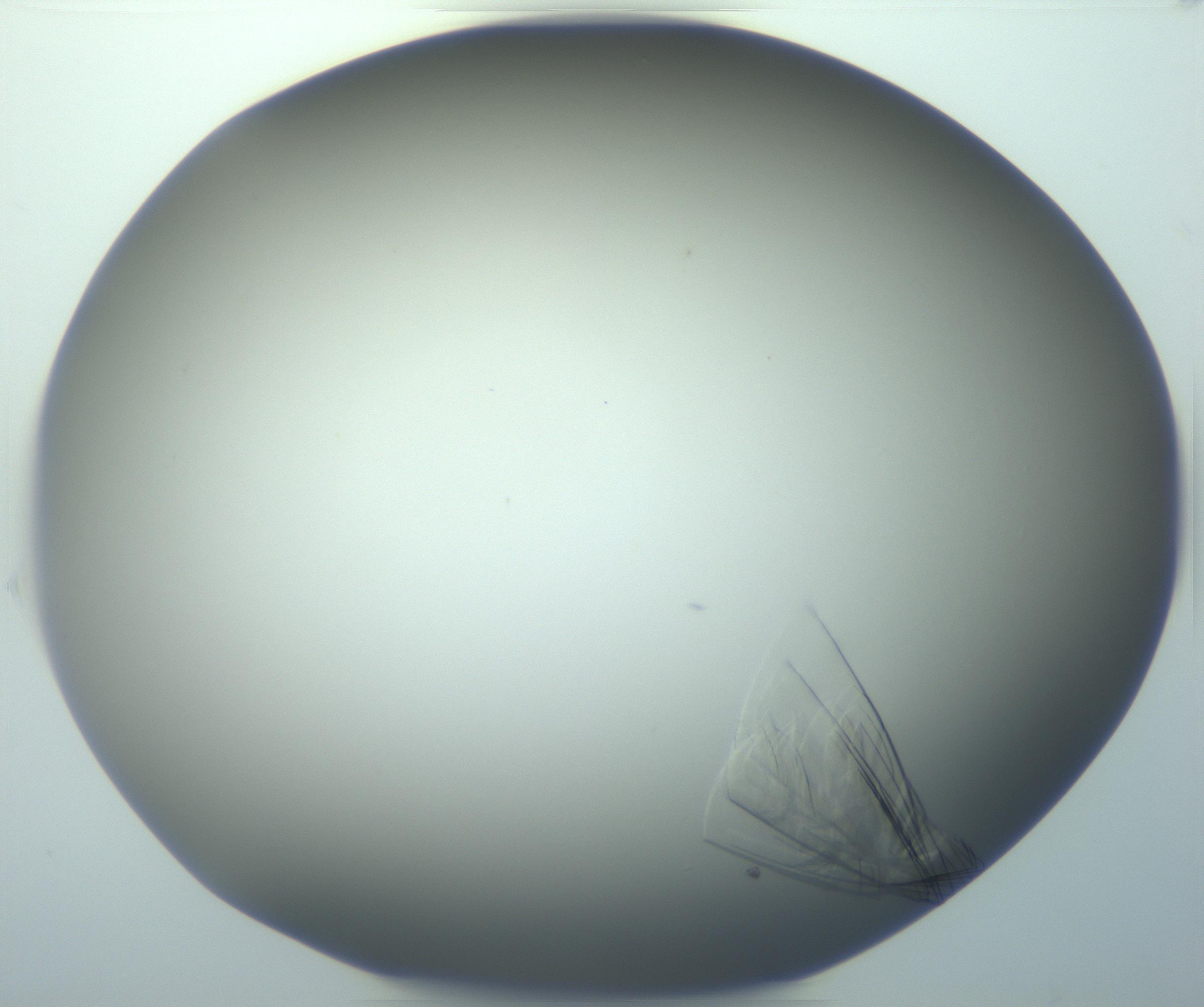 RI01_03_000_0212_Proj1_Clon1_MC_0000MC102884_010_161126_03_05_01_00_99_002_001_RAI.jpg