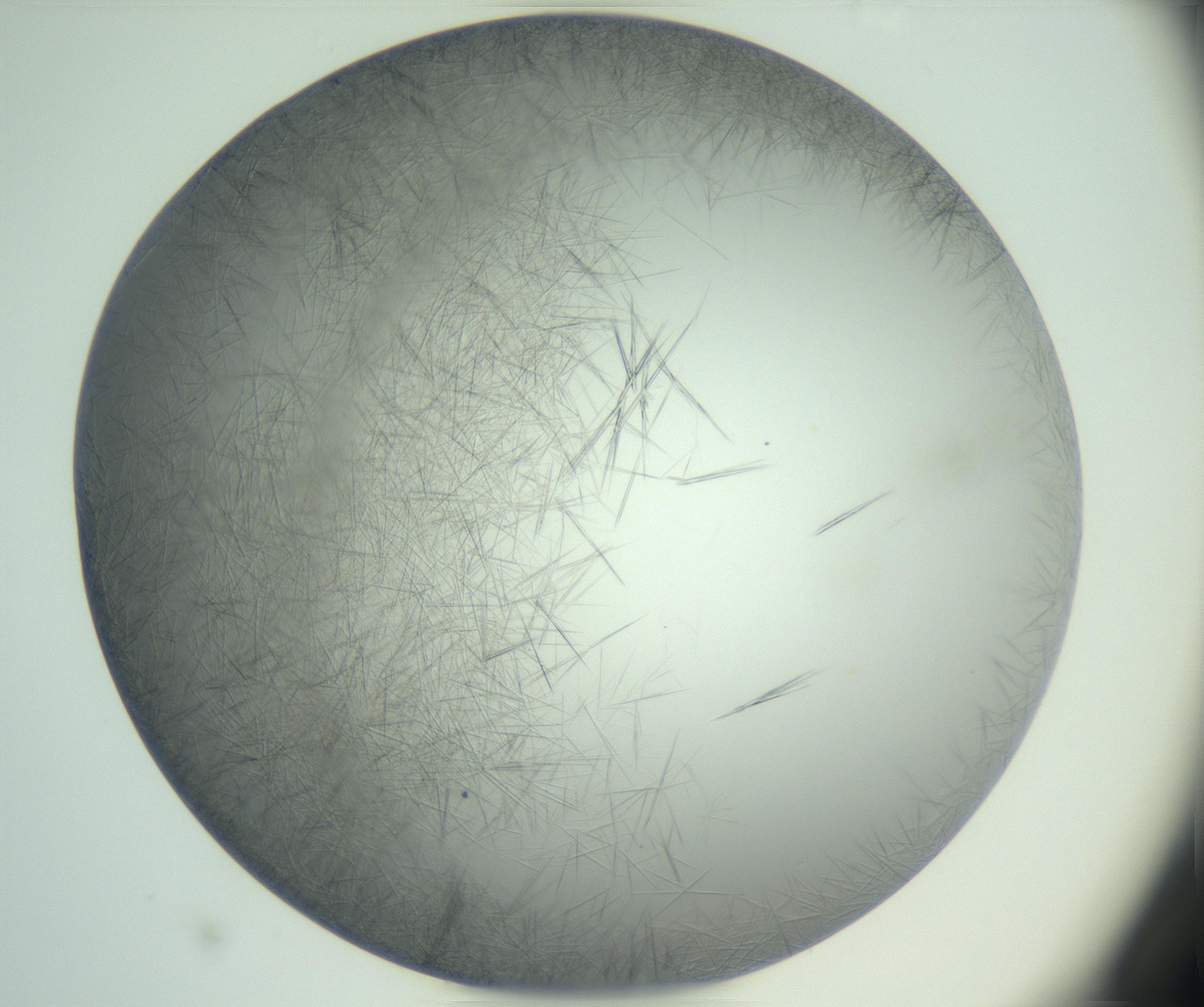 RI01_03_000_0212_Proj1_Clon1_MC_0000MC102885_002_161022_01_04_01_00_99_002_001_RAI.jpg