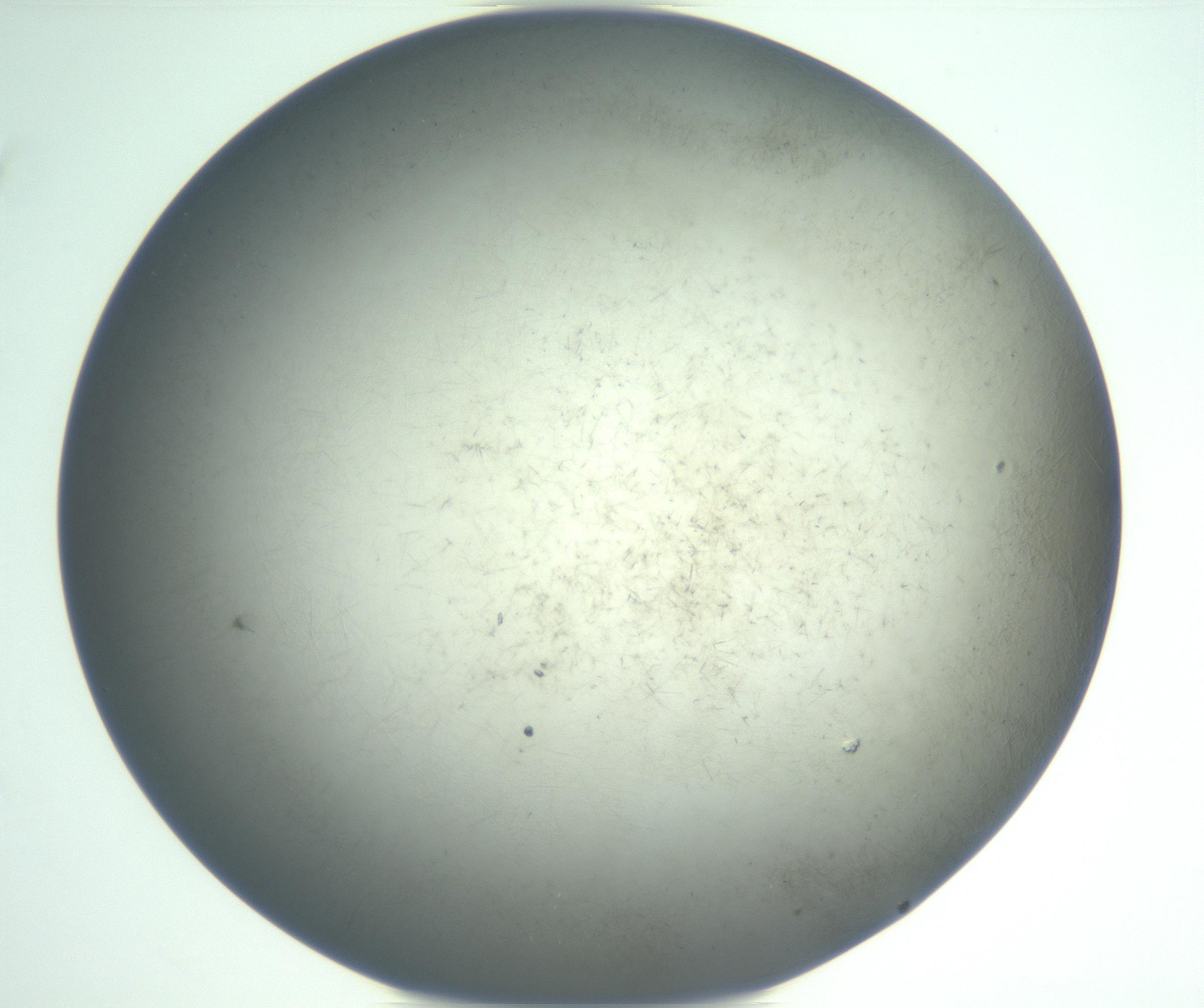 RI01_03_000_0212_Proj1_Clon1_MC_0000MC102885_002_161022_02_07_02_00_99_002_001_RAI.jpg