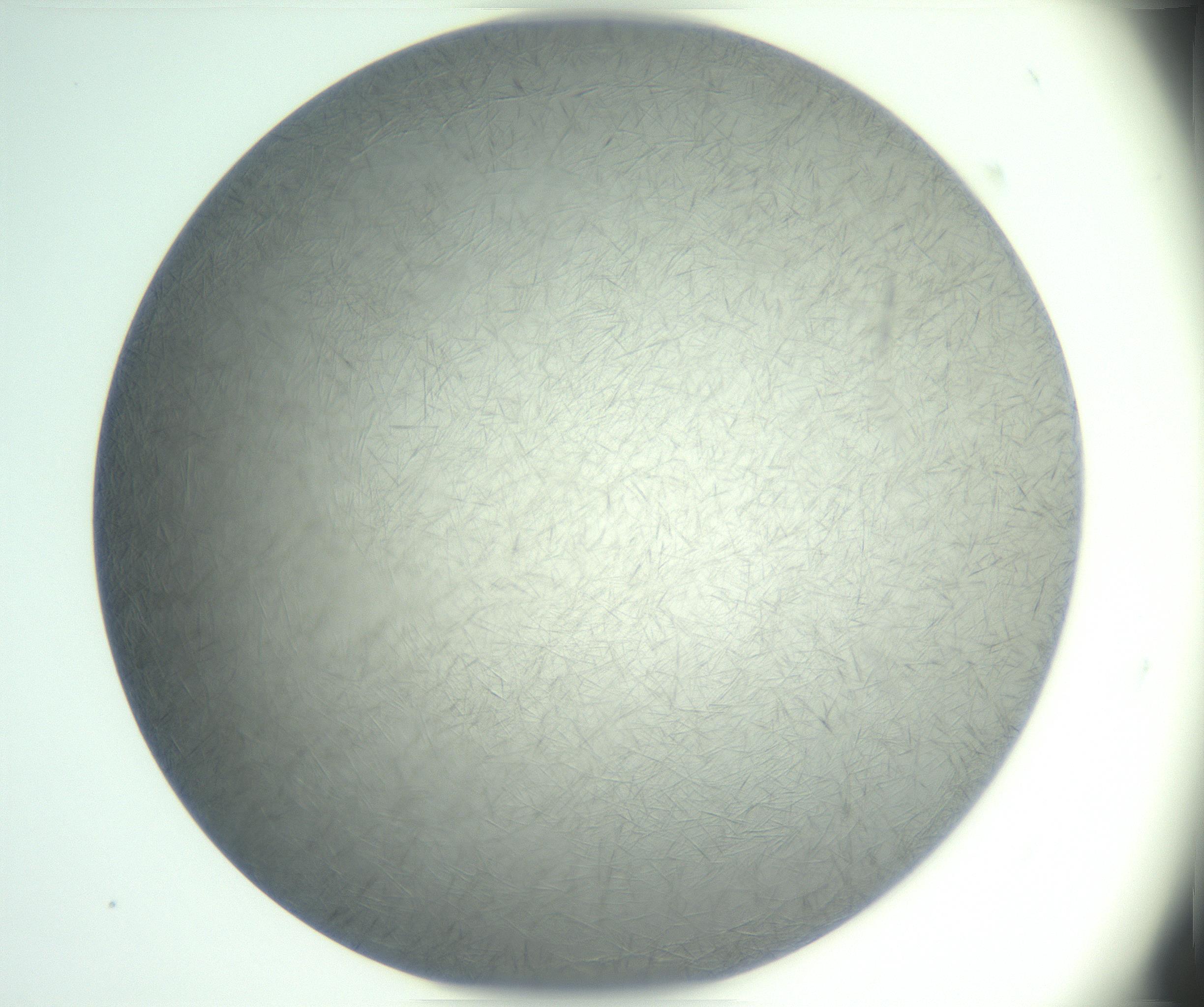 RI01_03_000_0212_Proj1_Clon1_MC_0000MC102885_002_161022_04_03_01_00_99_002_001_RAI.jpg