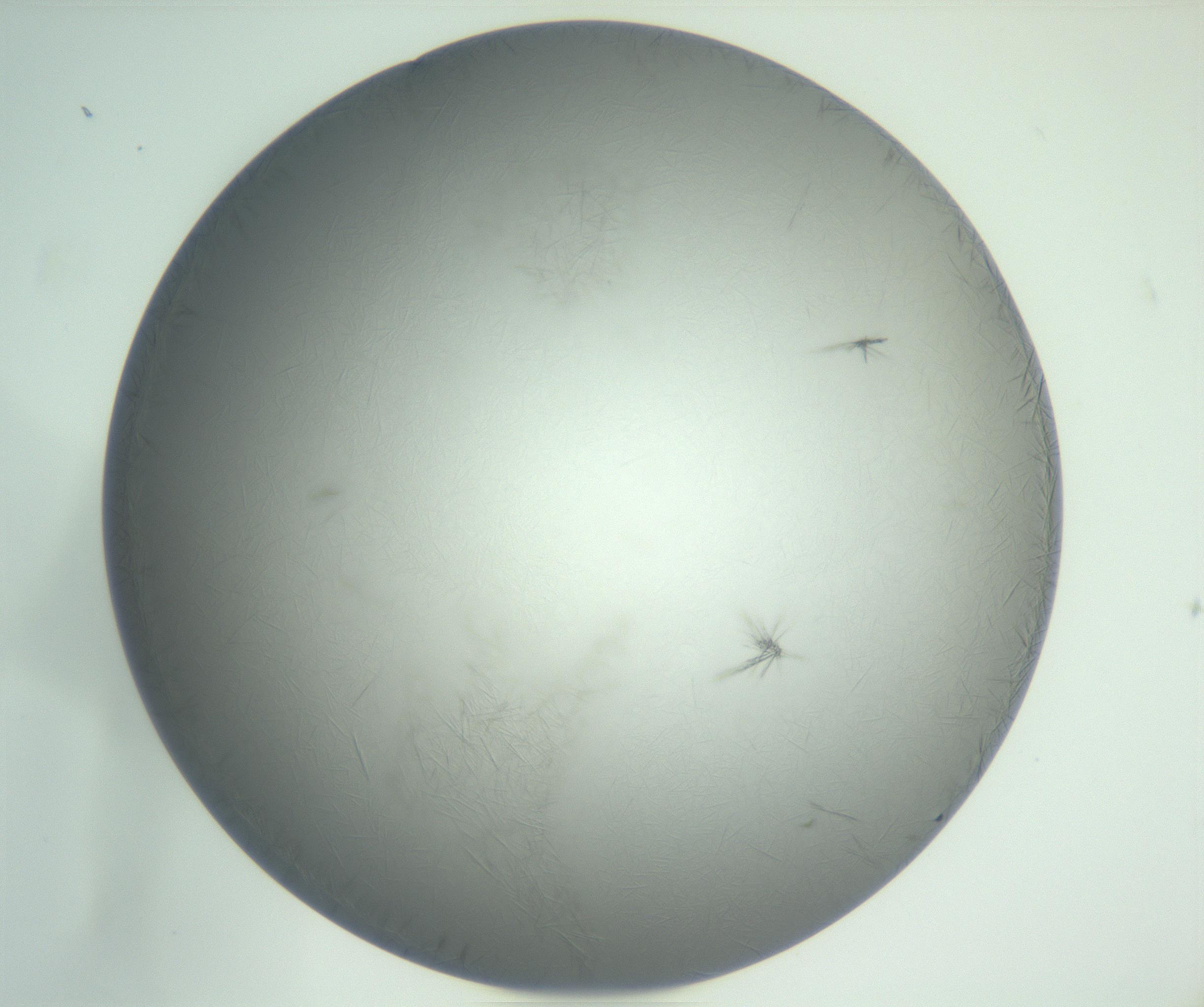 RI01_03_000_0212_Proj1_Clon1_MC_0000MC102885_002_161022_04_03_02_00_99_002_001_RAI.jpg