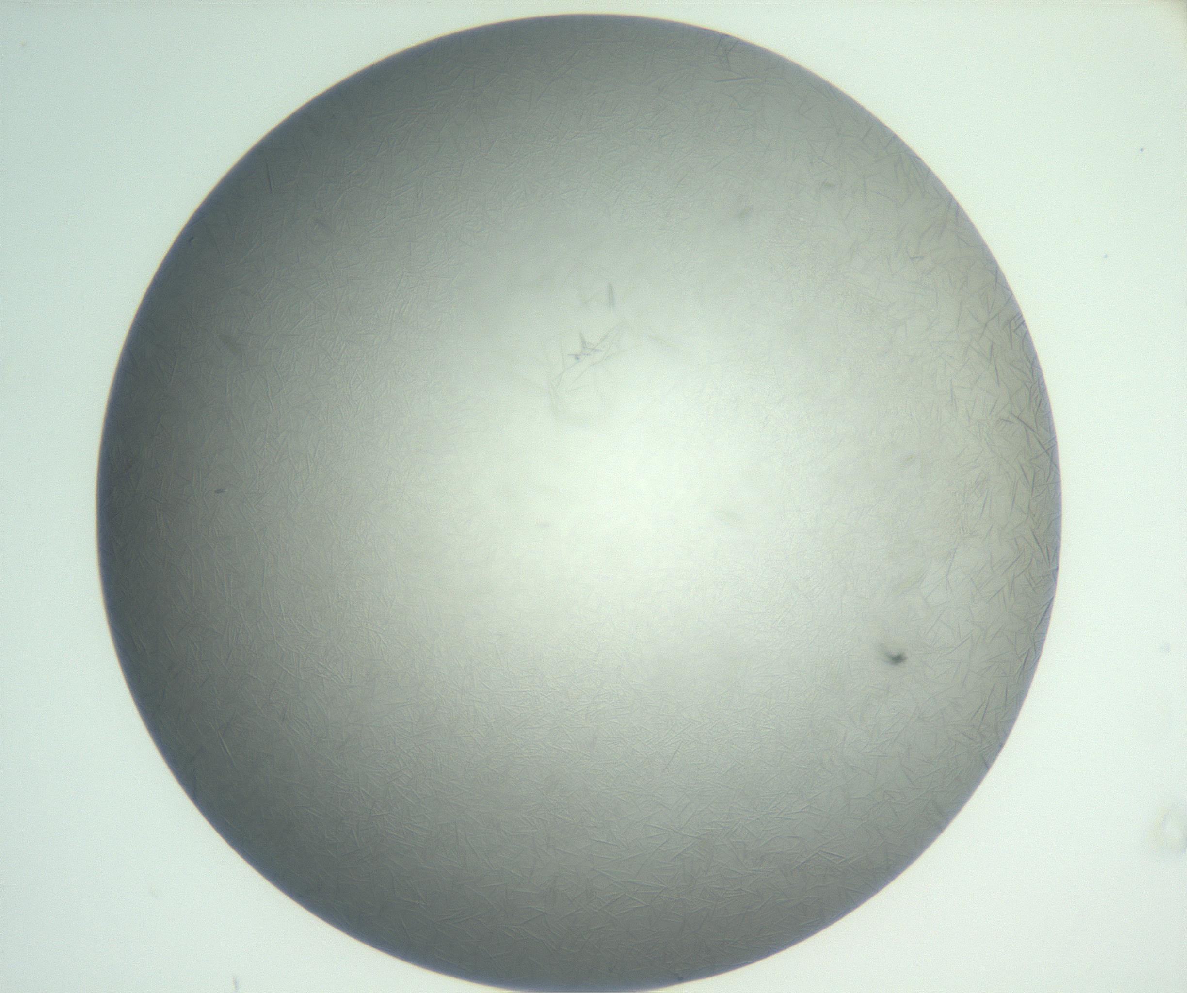 RI01_03_000_0212_Proj1_Clon1_MC_0000MC102885_002_161022_07_01_02_00_99_002_001_RAI.jpg