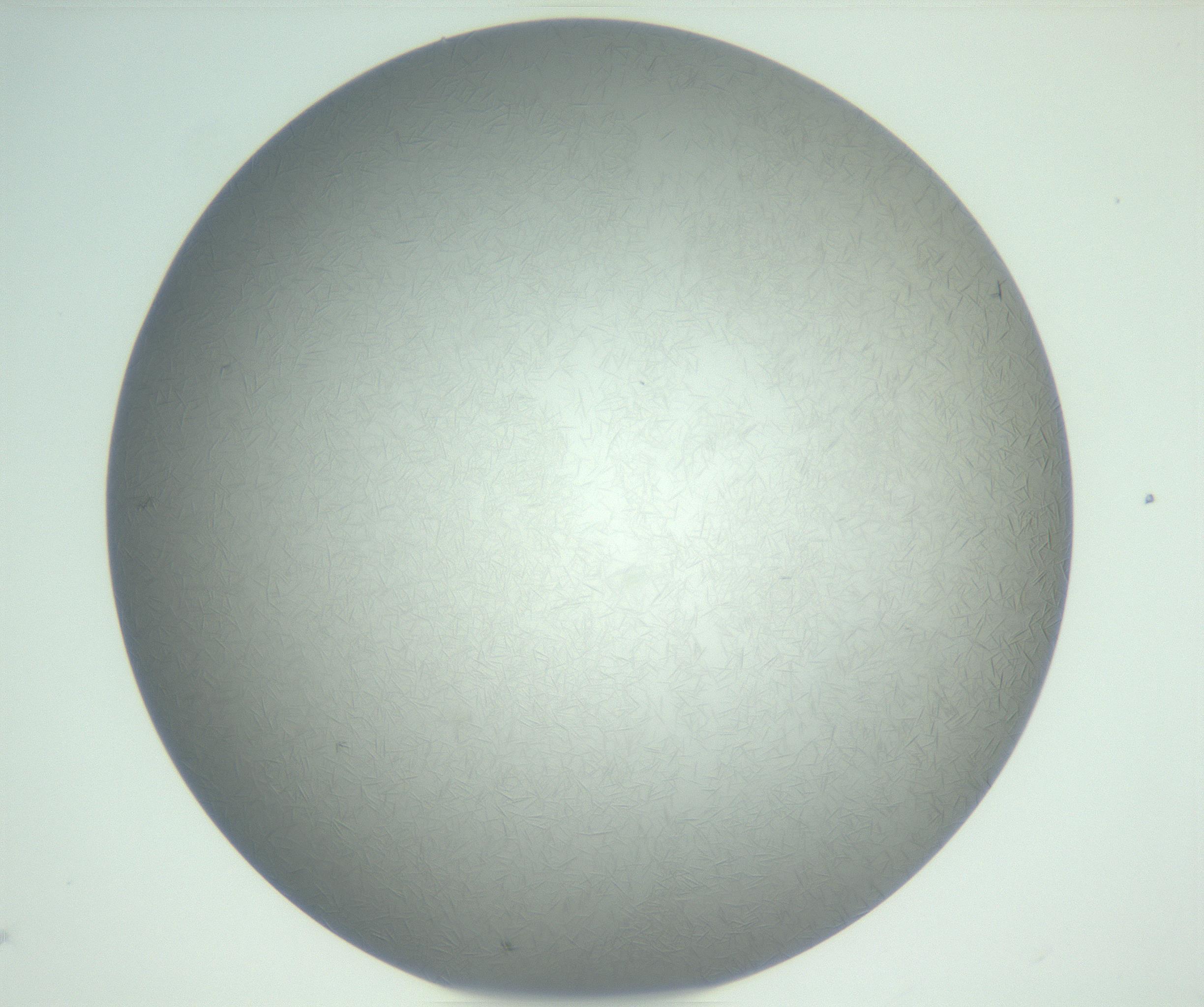 RI01_03_000_0212_Proj1_Clon1_MC_0000MC102885_002_161022_09_04_02_00_99_002_001_RAI.jpg